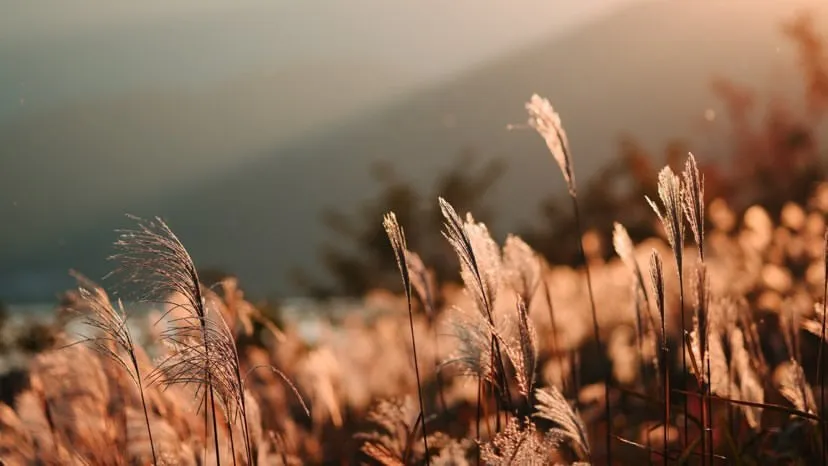 JackySmith OnlyFans header