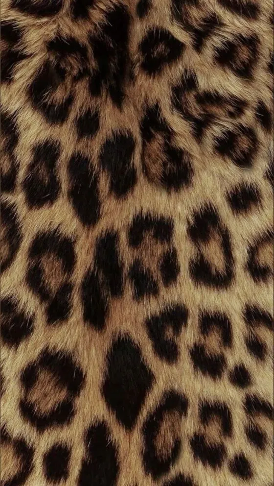 Jade OnlyFans header