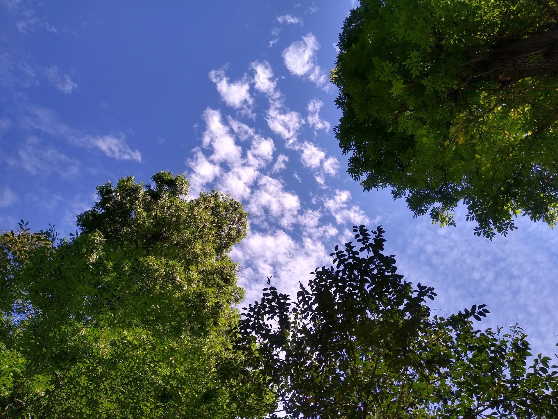 Jasiel_Alvizo55 OnlyFans header