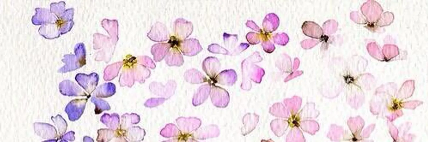 ✨ Jasmine ✨ OnlyFans header