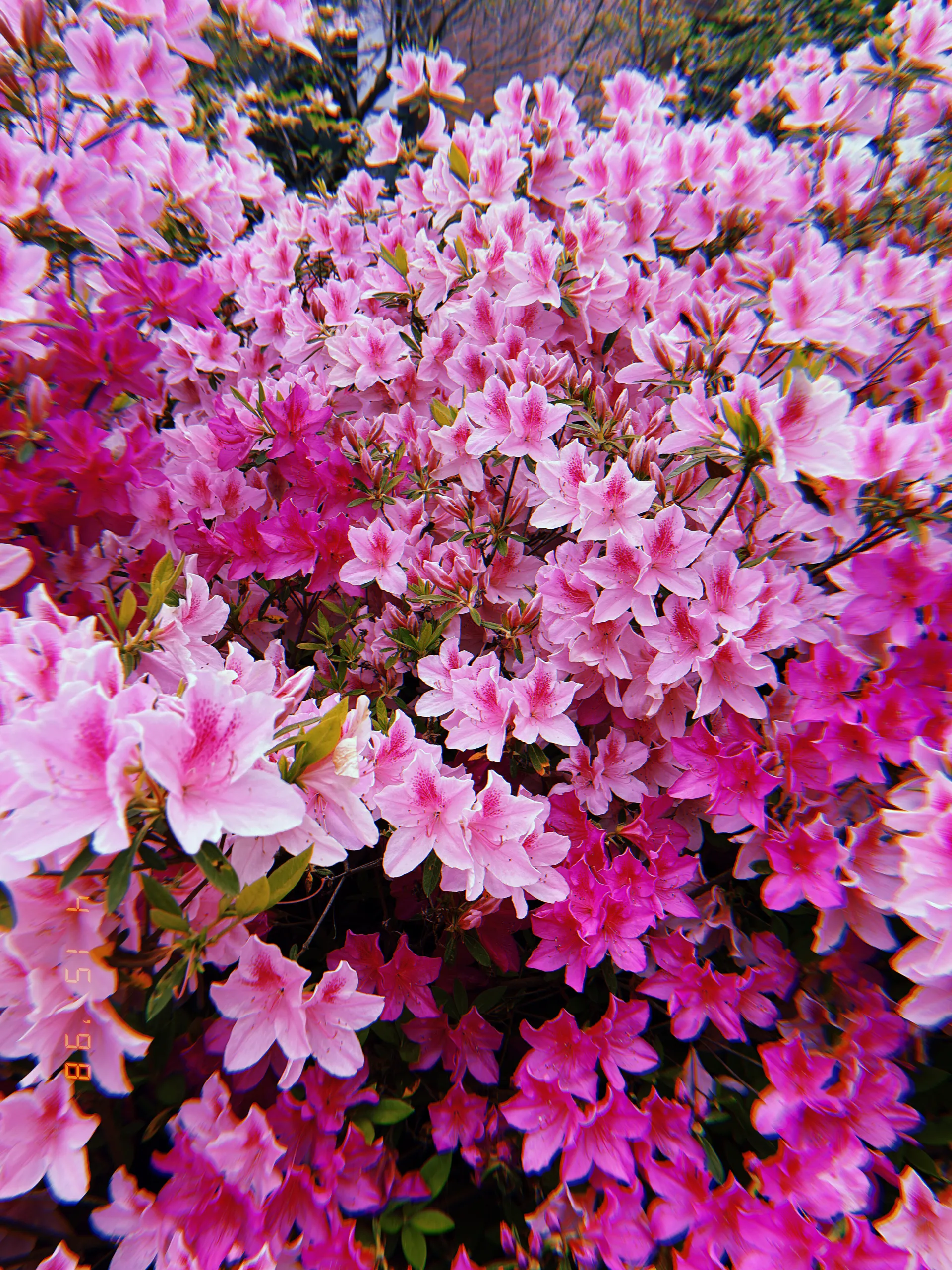 Jazzyjxoxoxo OnlyFans header