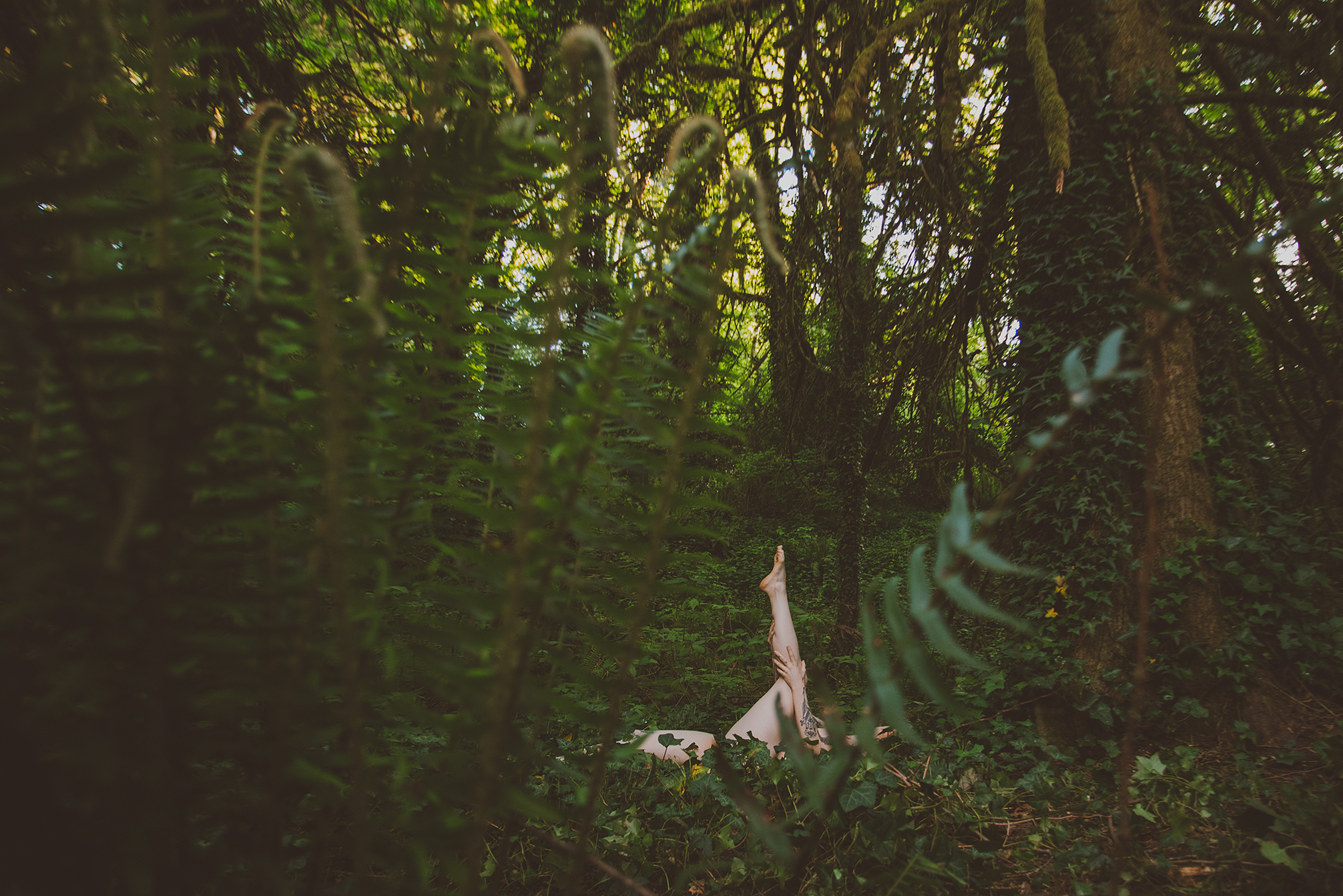 Jenna OnlyFans header