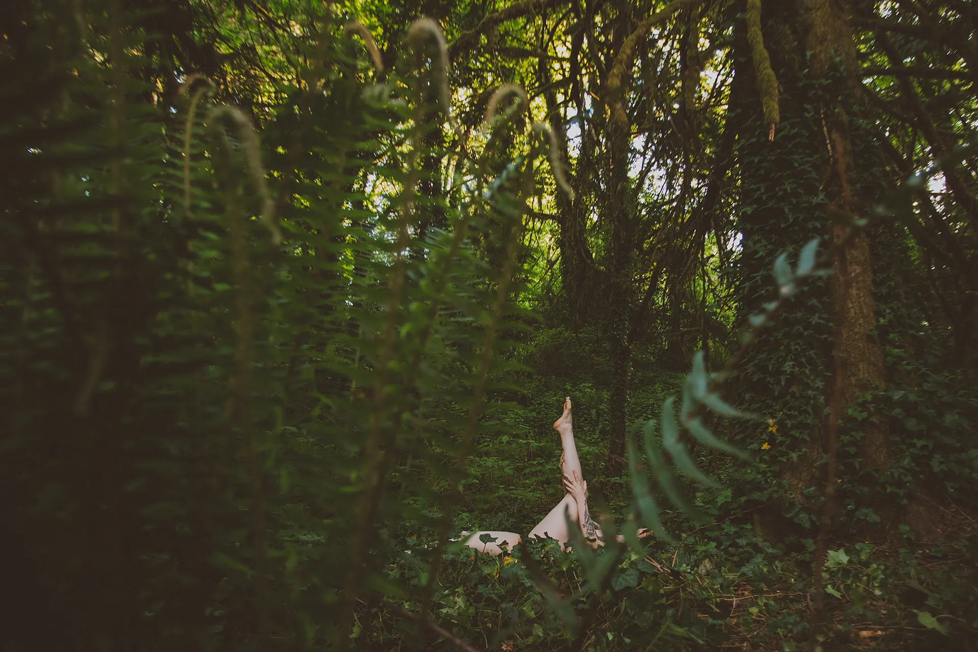 Jenna OnlyFans header