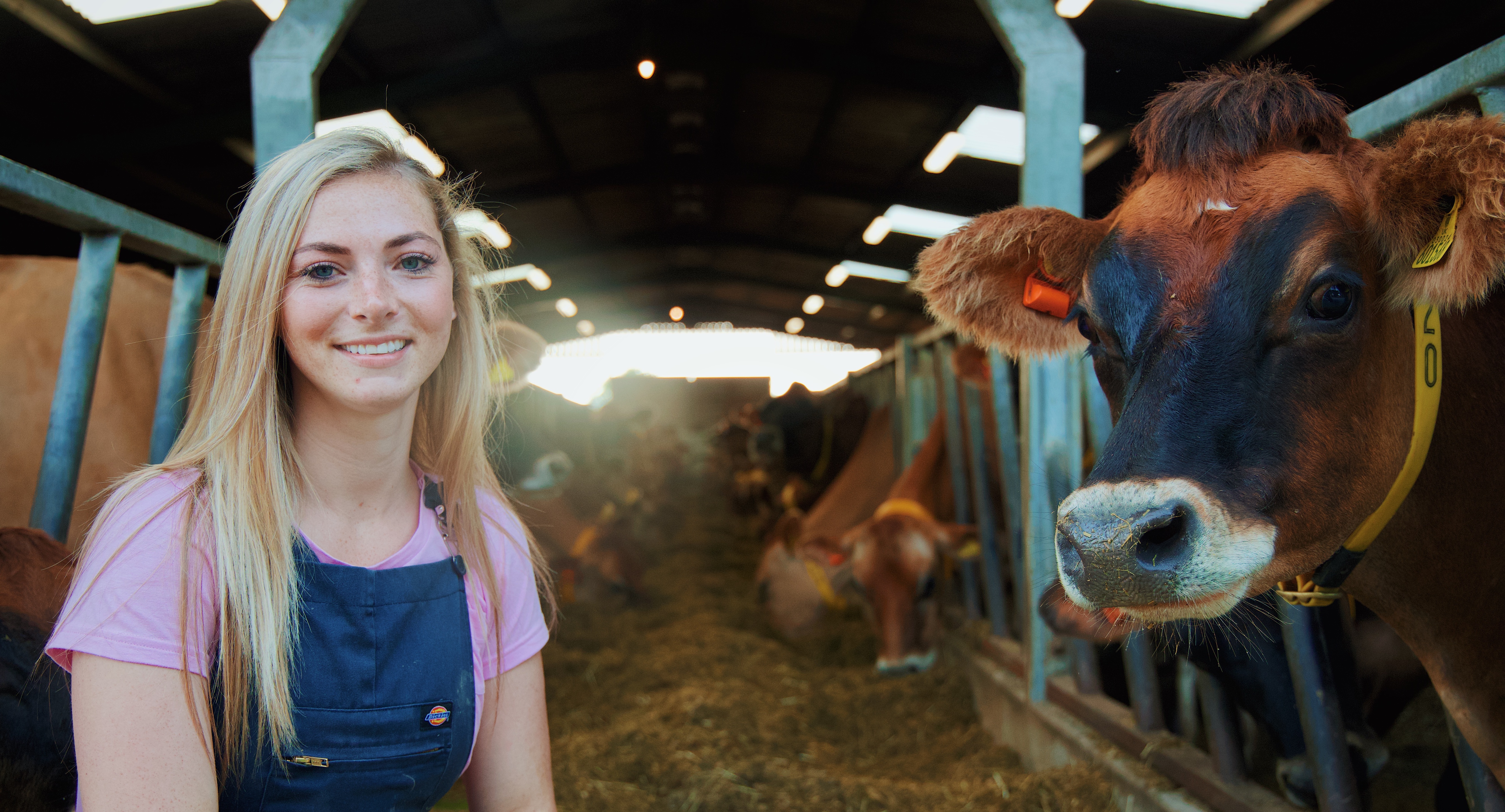 Becky Houzé 🐮 OnlyFans header