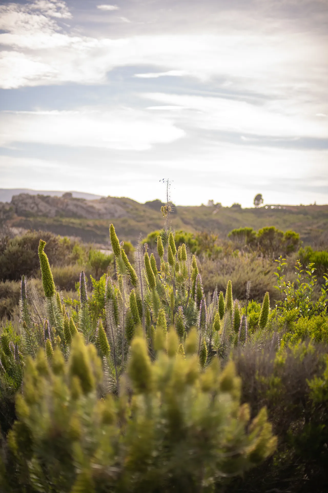 jess OnlyFans header