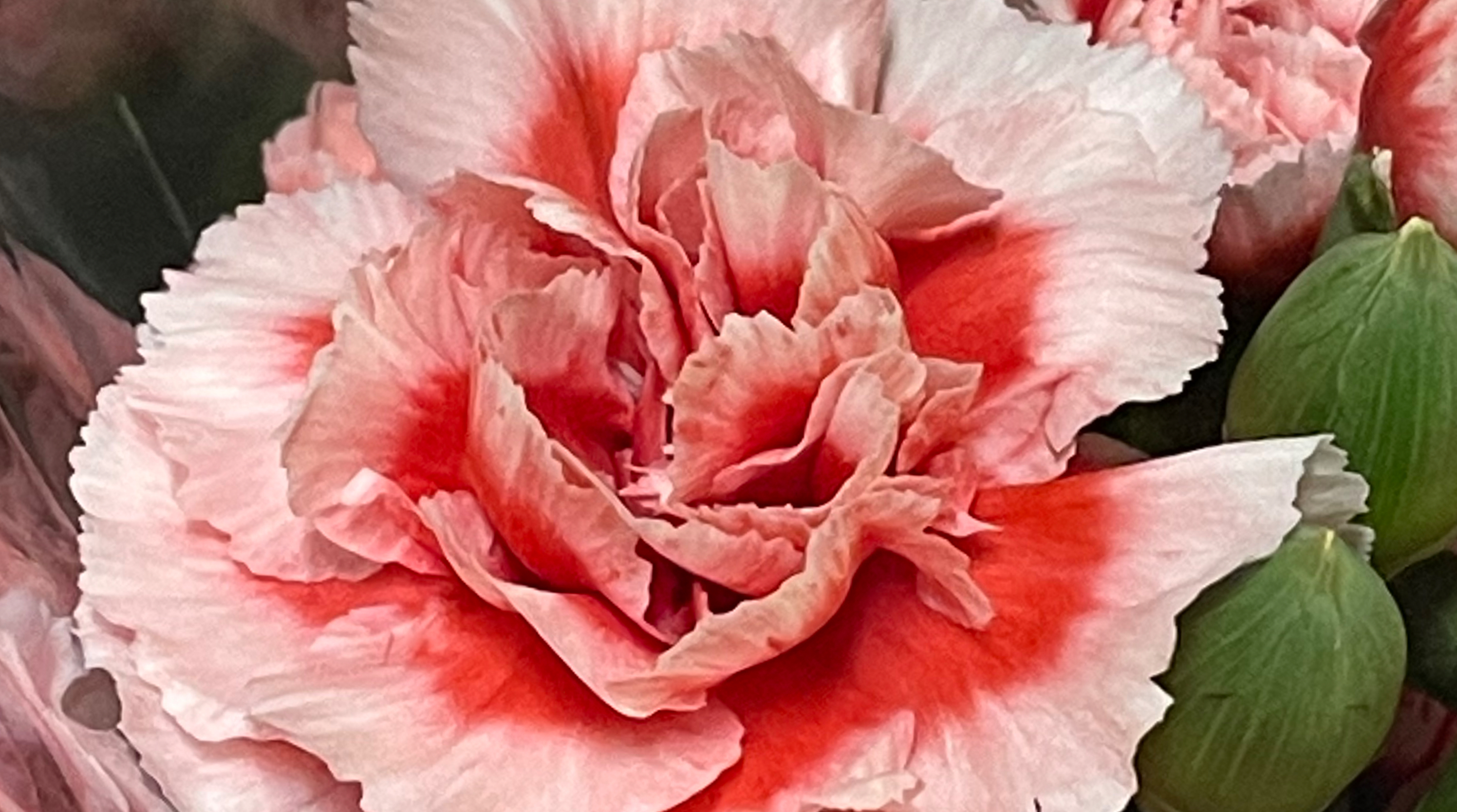 Jodie Johnson VIP OnlyFans header