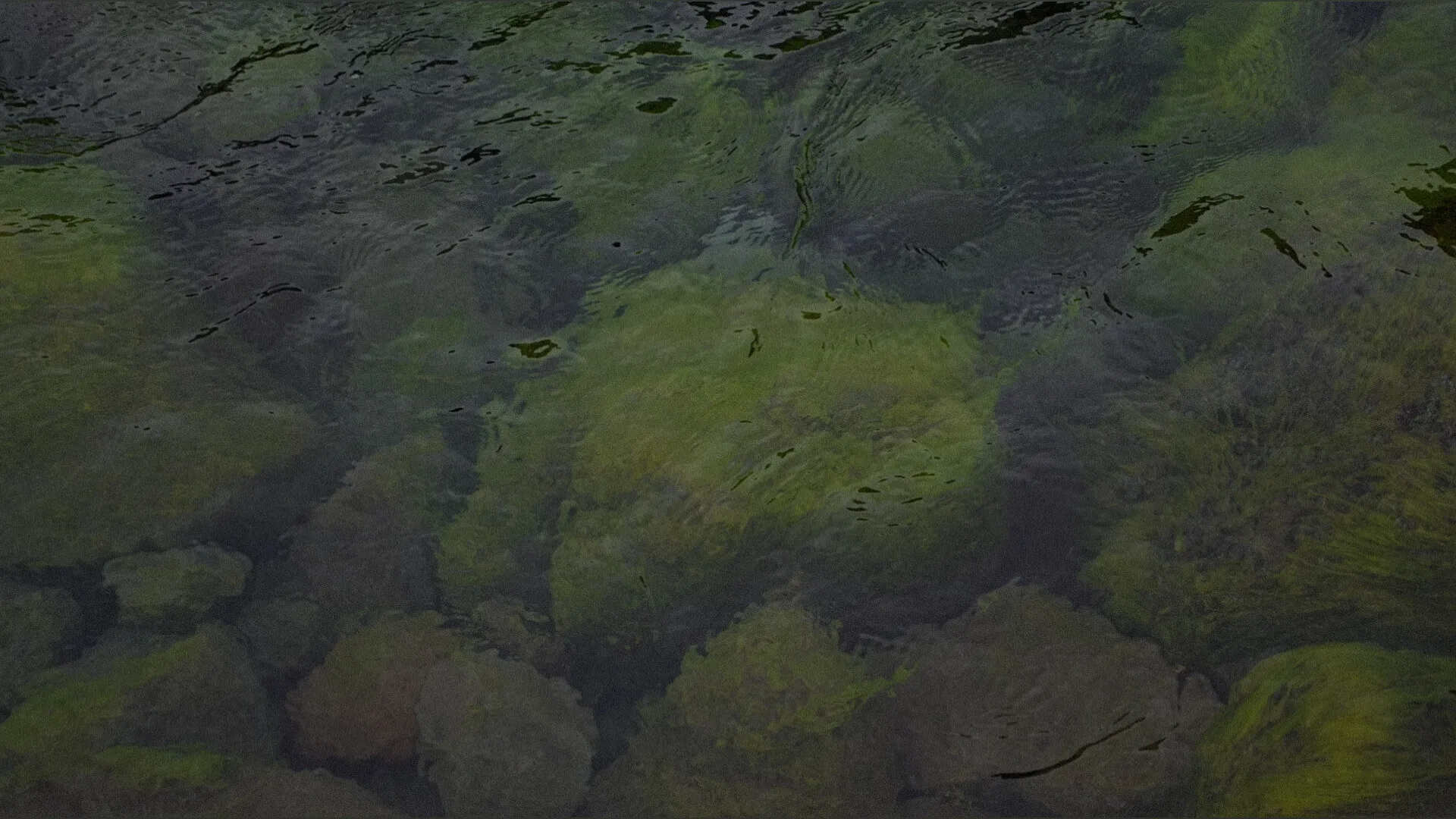 Julieta OnlyFans header