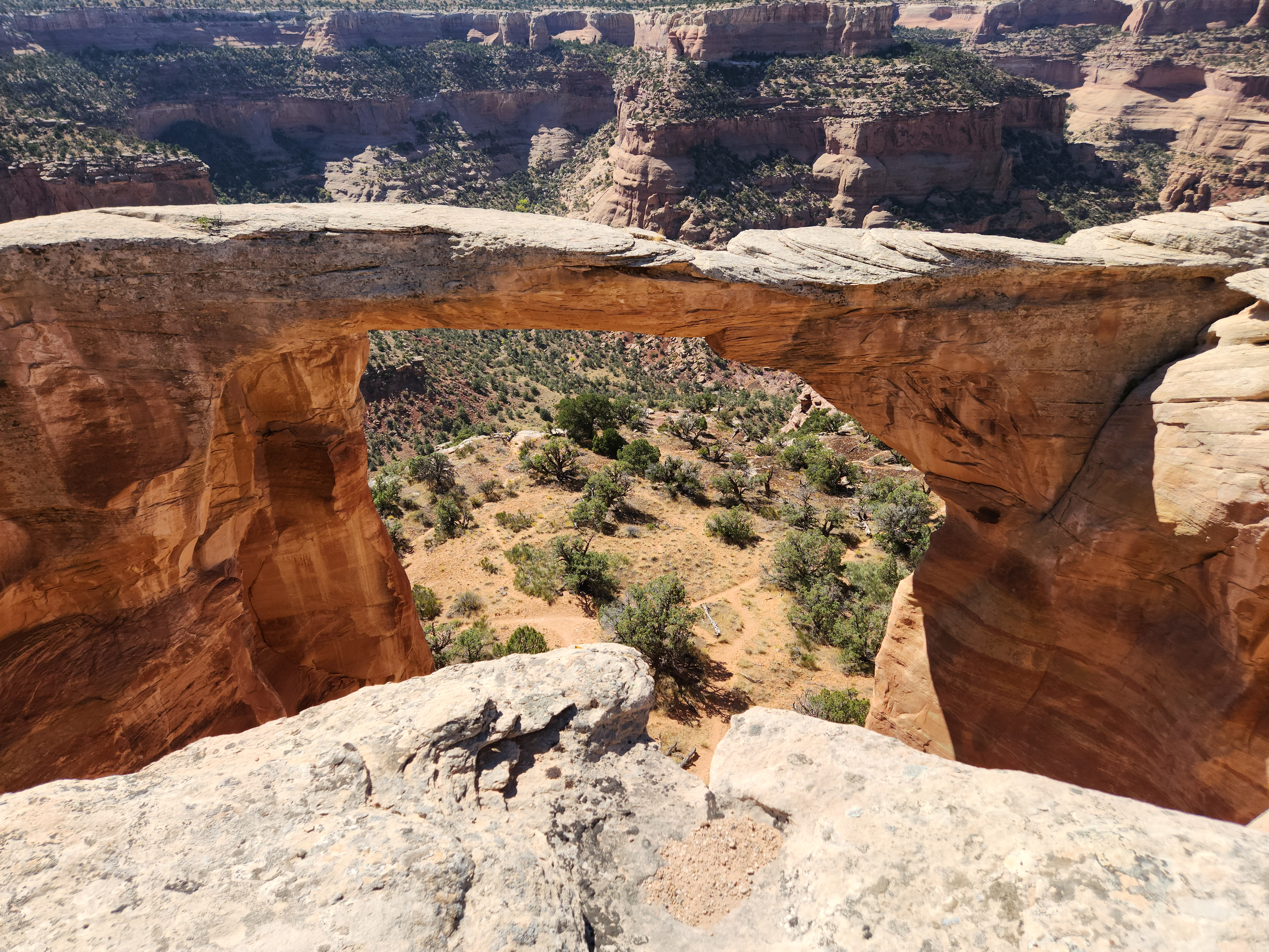 juliettecruzxoxo OnlyFans header