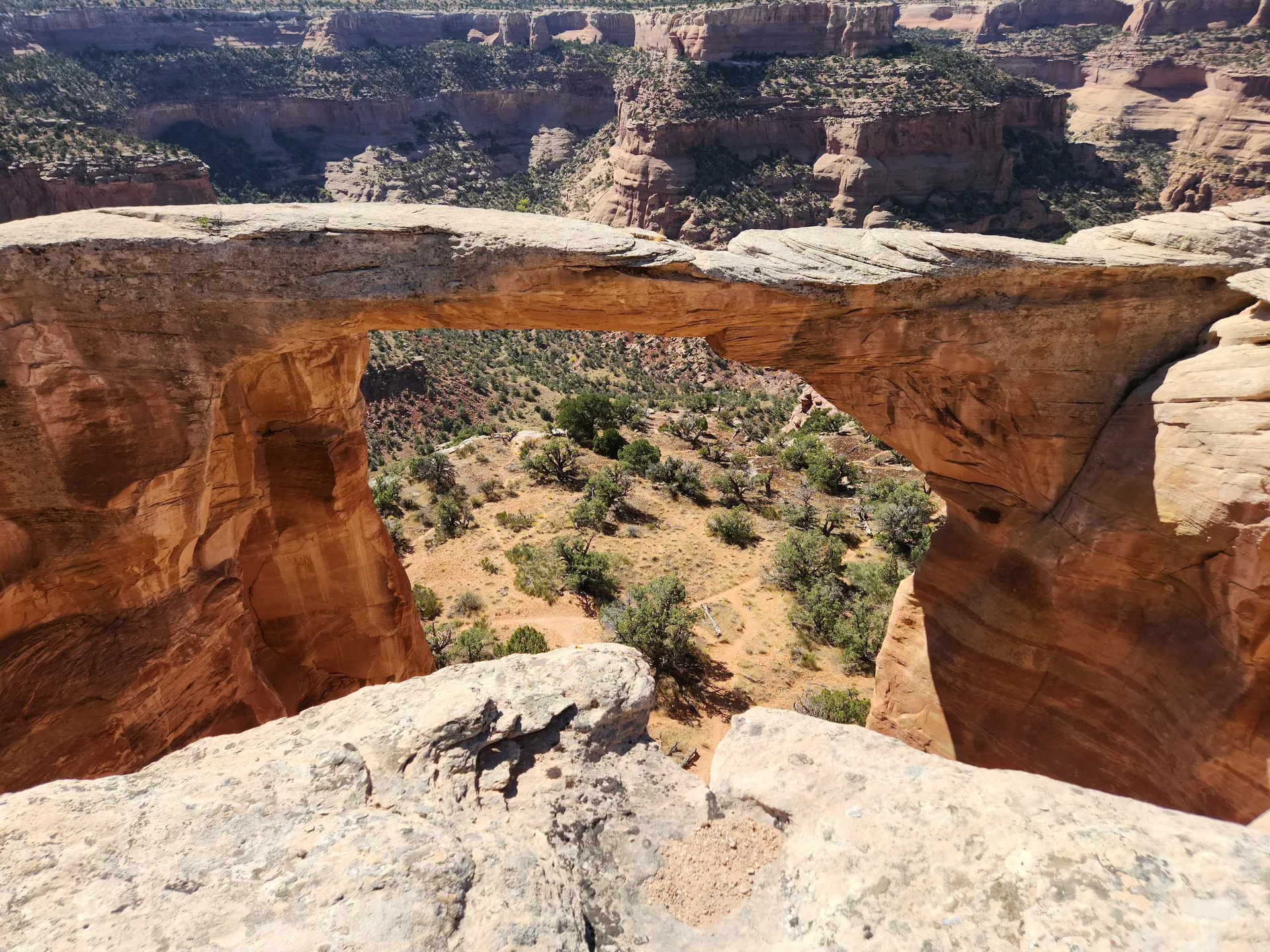 juliettecruzxoxo OnlyFans header