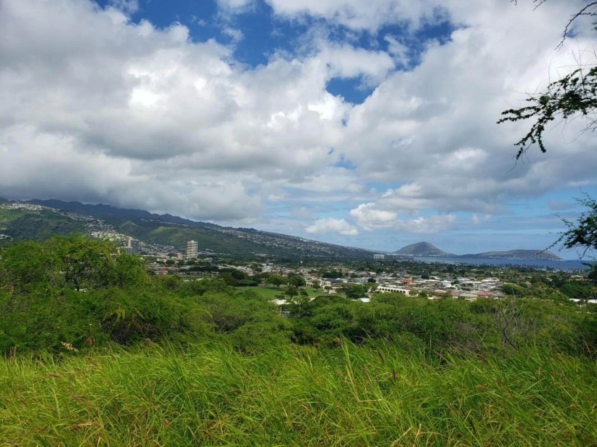 Juni Ren 🌱 OnlyFans header