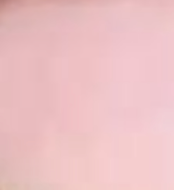 ❤️ OnlyFans header