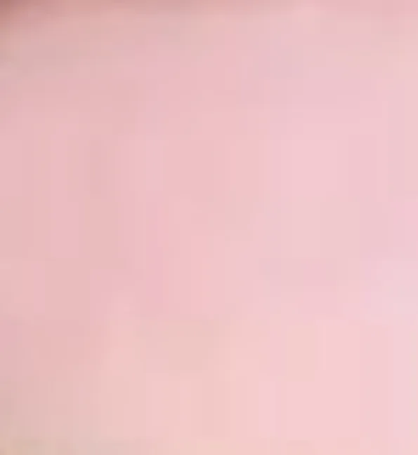 ❤️ OnlyFans header