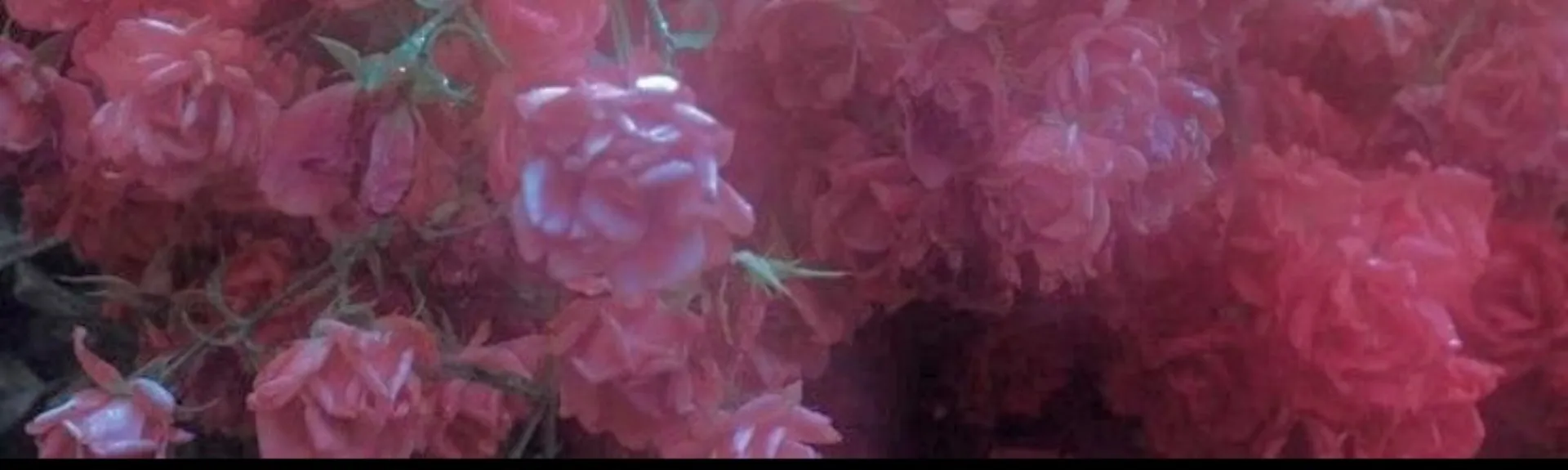 THE HOTTEST PAWG🍼🍑 OnlyFans header