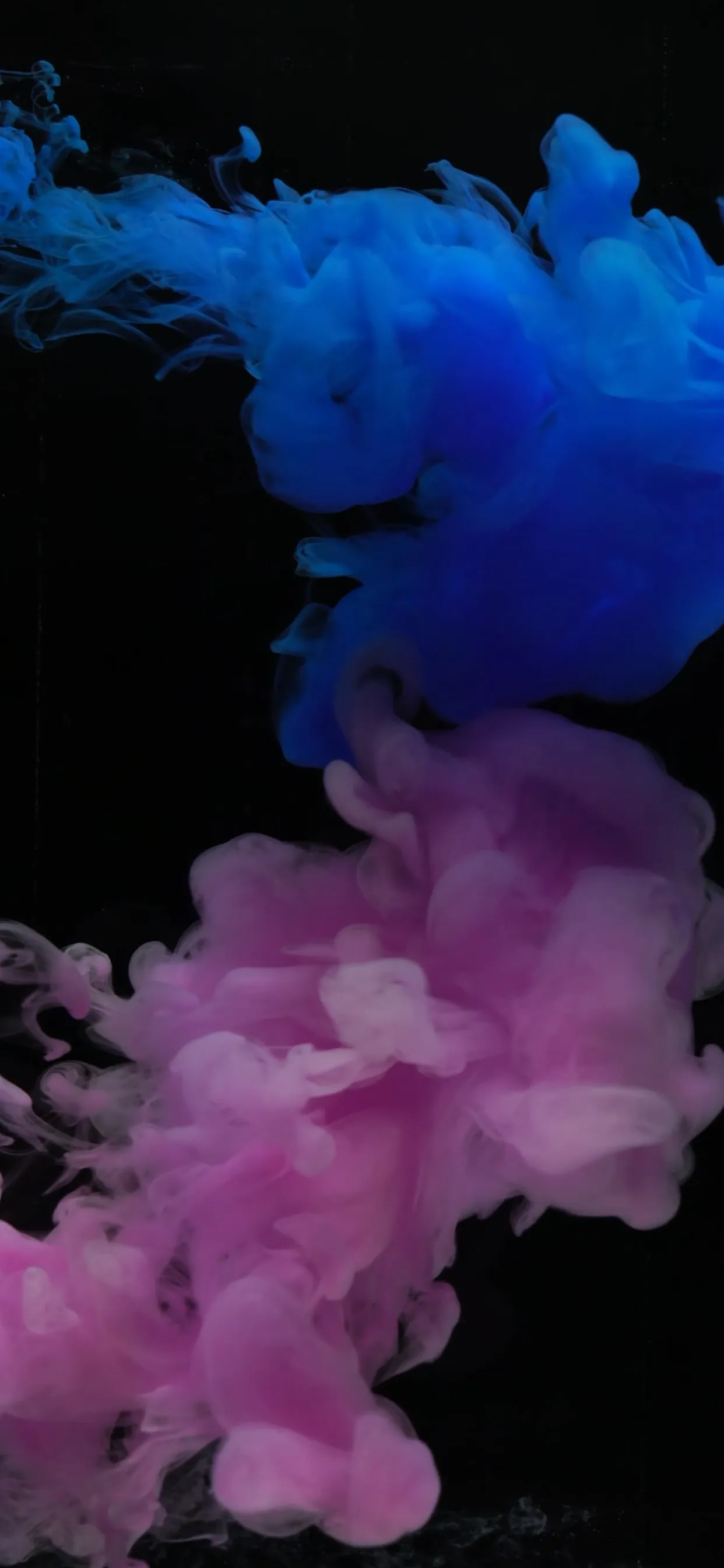 Kat OnlyFans header