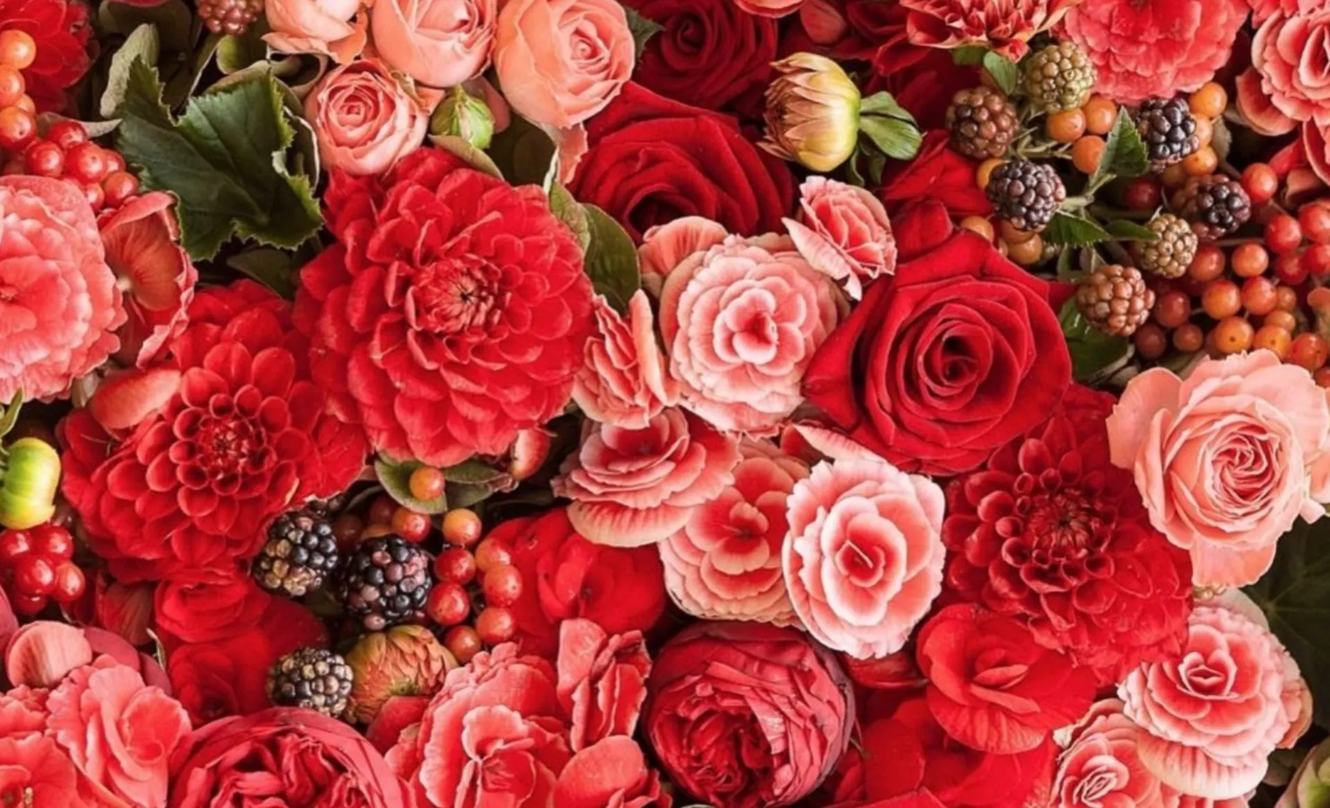 Katita Jewel Novak OnlyFans header