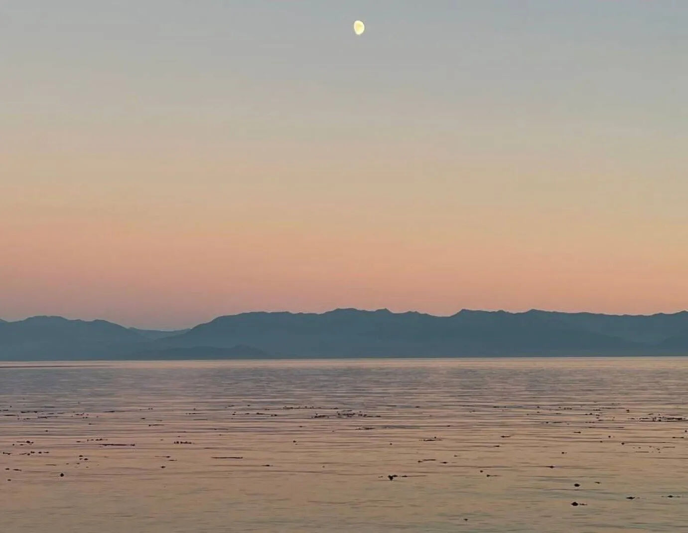 Katja 🥵 FREE full length on feed 👀 OnlyFans header