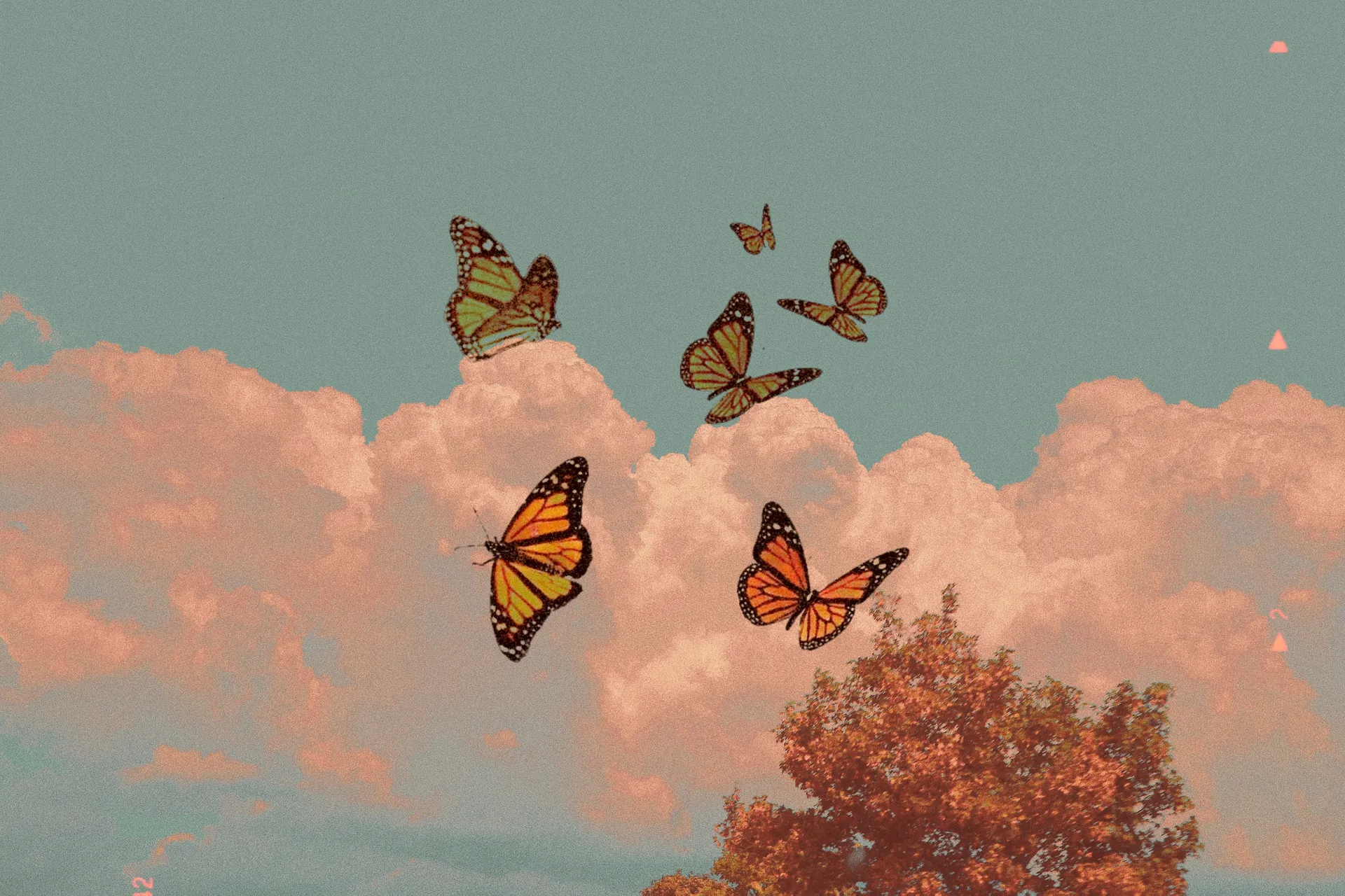 Kat 🦋 OnlyFans header