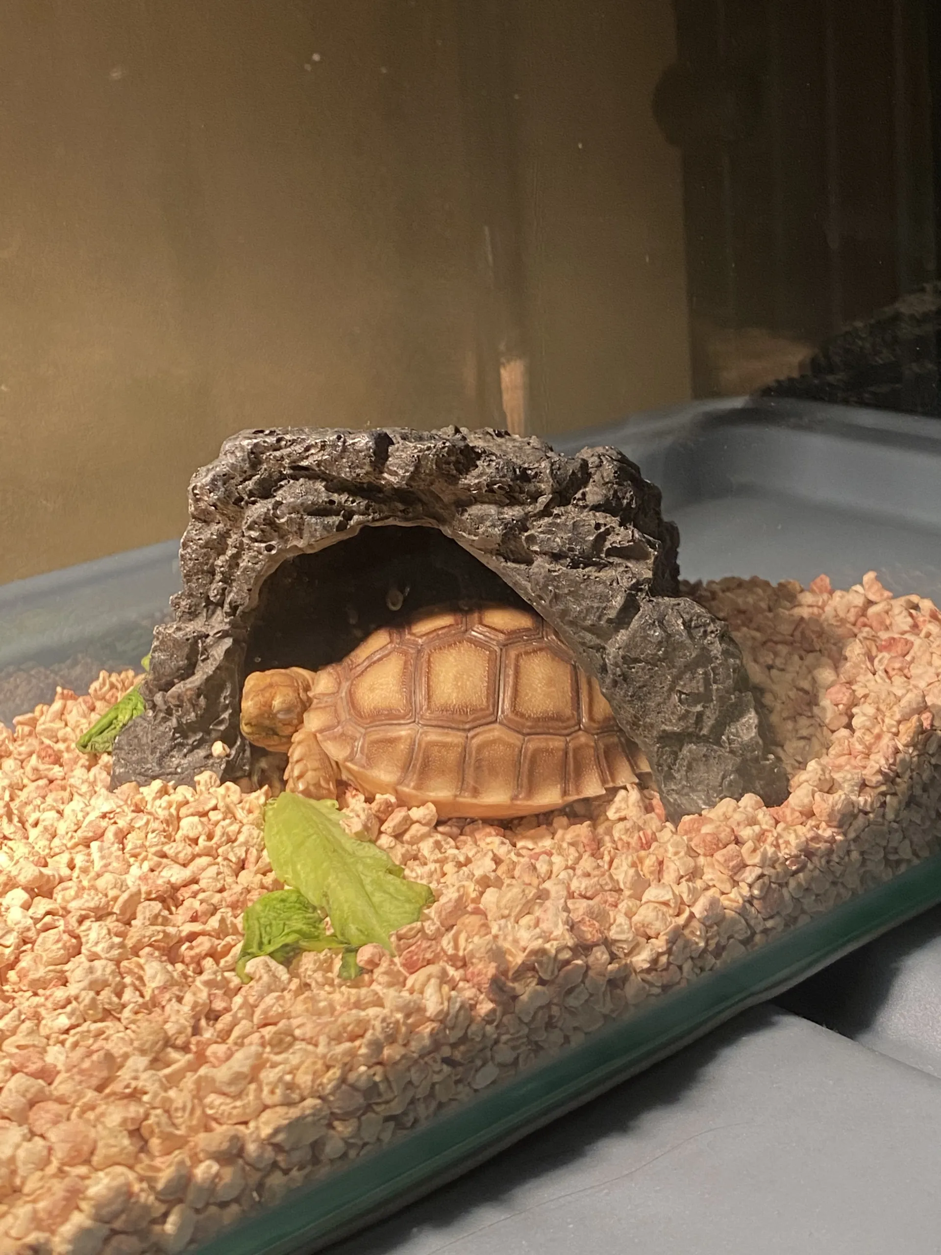 Kekedoyoulovemee OnlyFans header