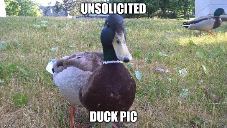 British Gentleman OnlyFans