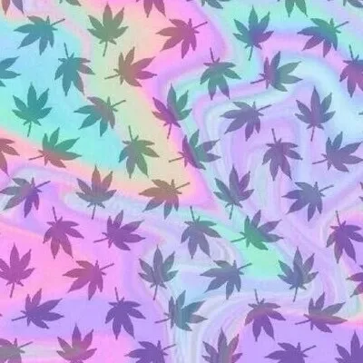 Skyler OnlyFans header