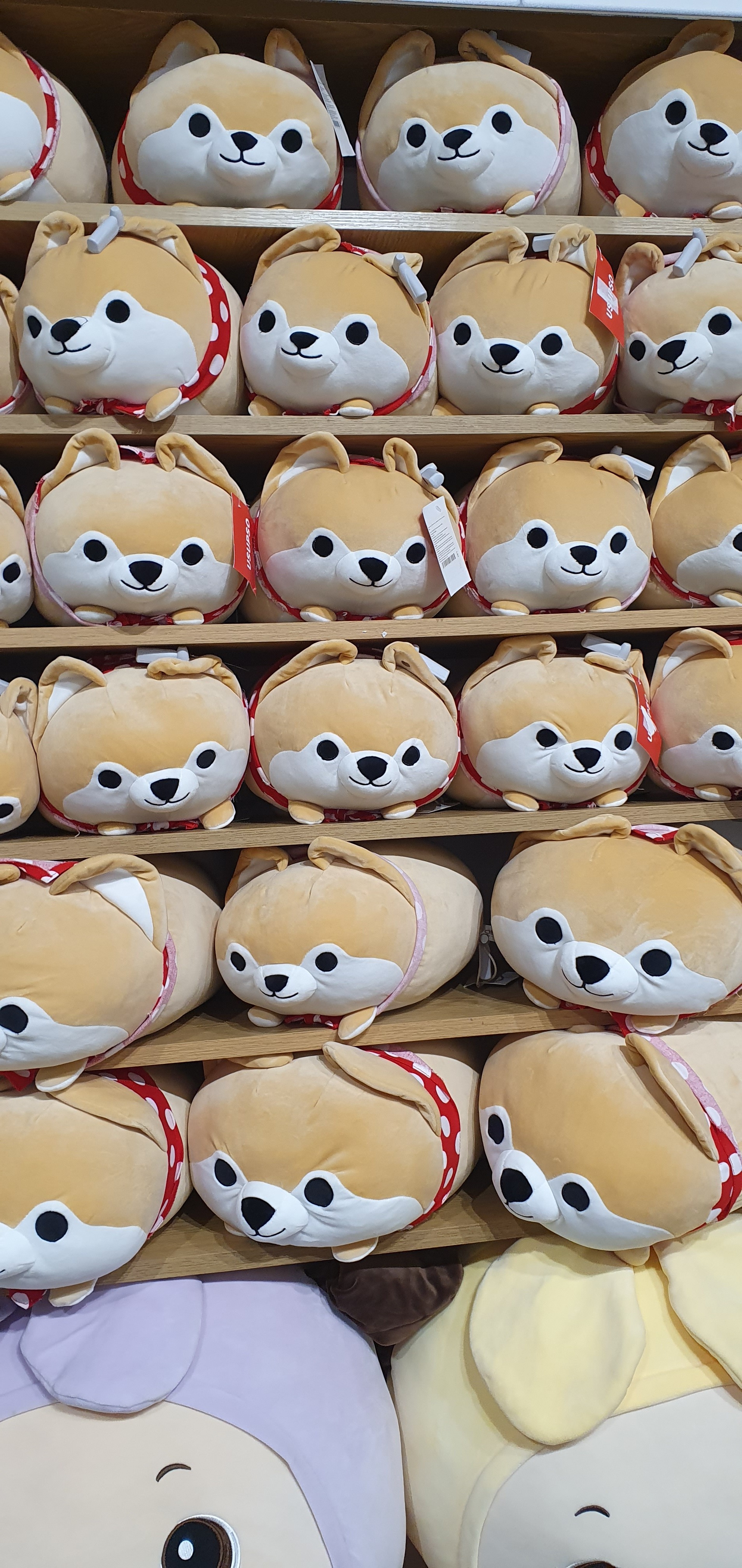 Kit_kat OnlyFans header