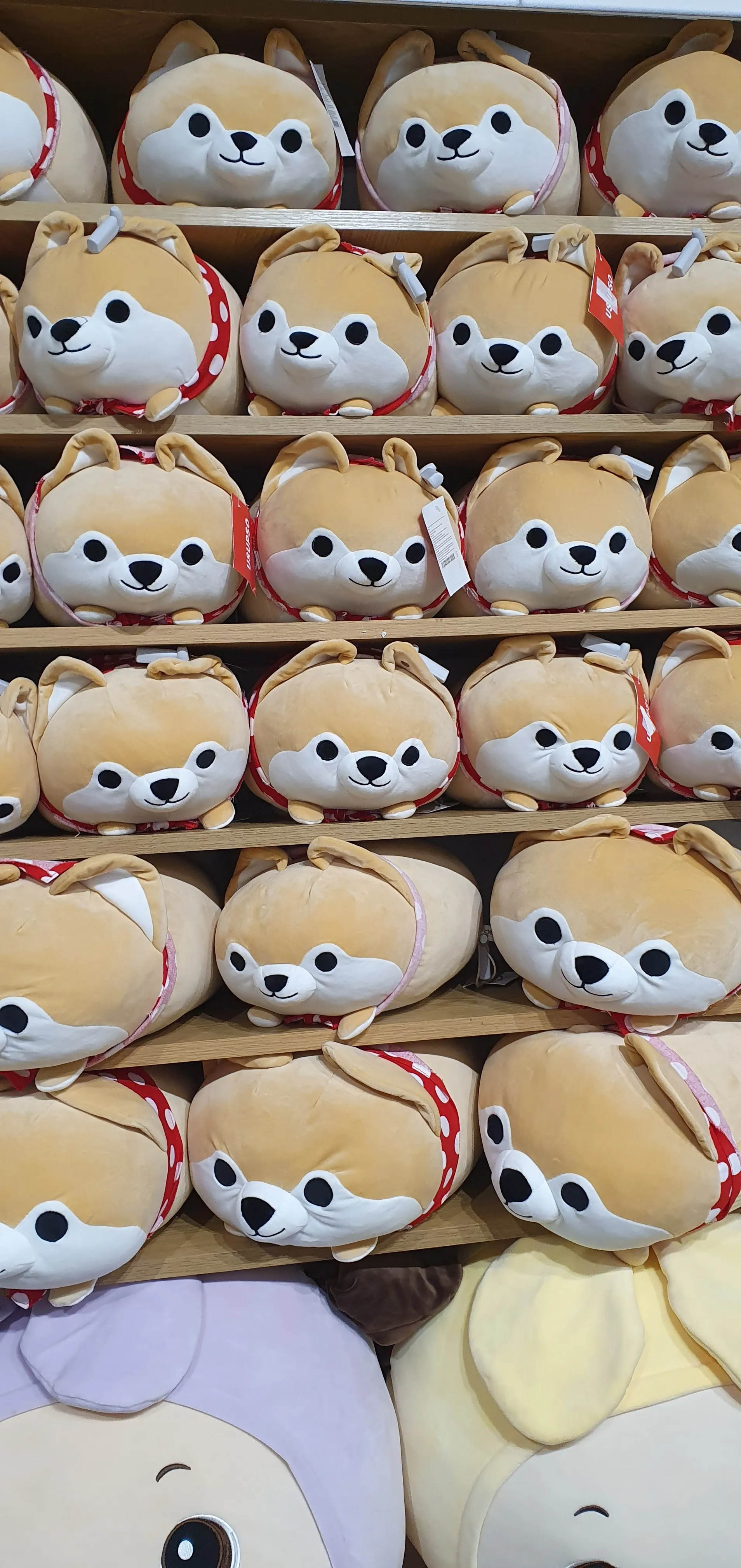 Kit_kat OnlyFans header