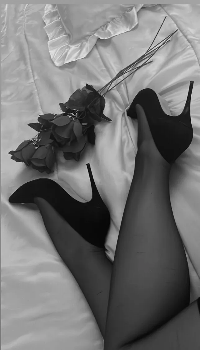 Kitty🐈‍⬛ OnlyFans header