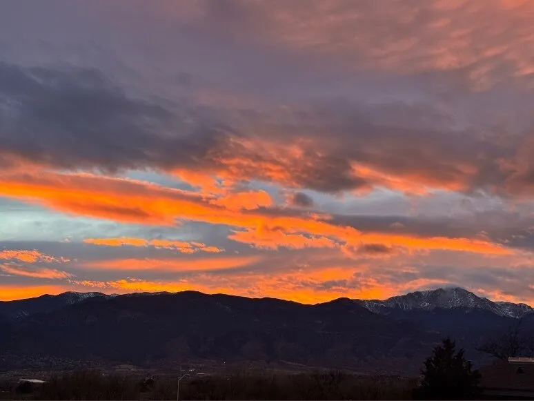 Wolfe OnlyFans header