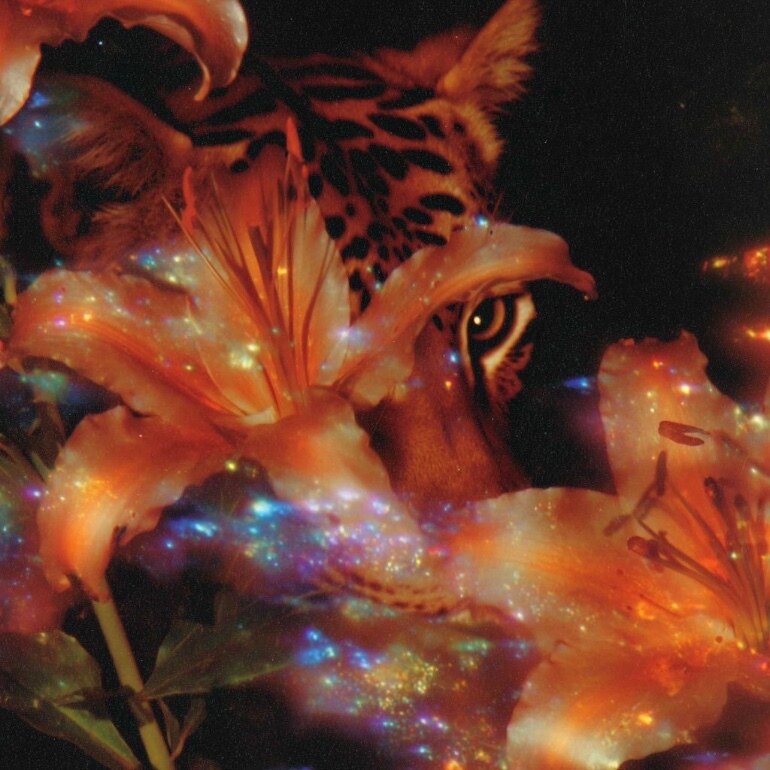 𝓭𝓪𝓴𝓸𝓽𝓪 OnlyFans header