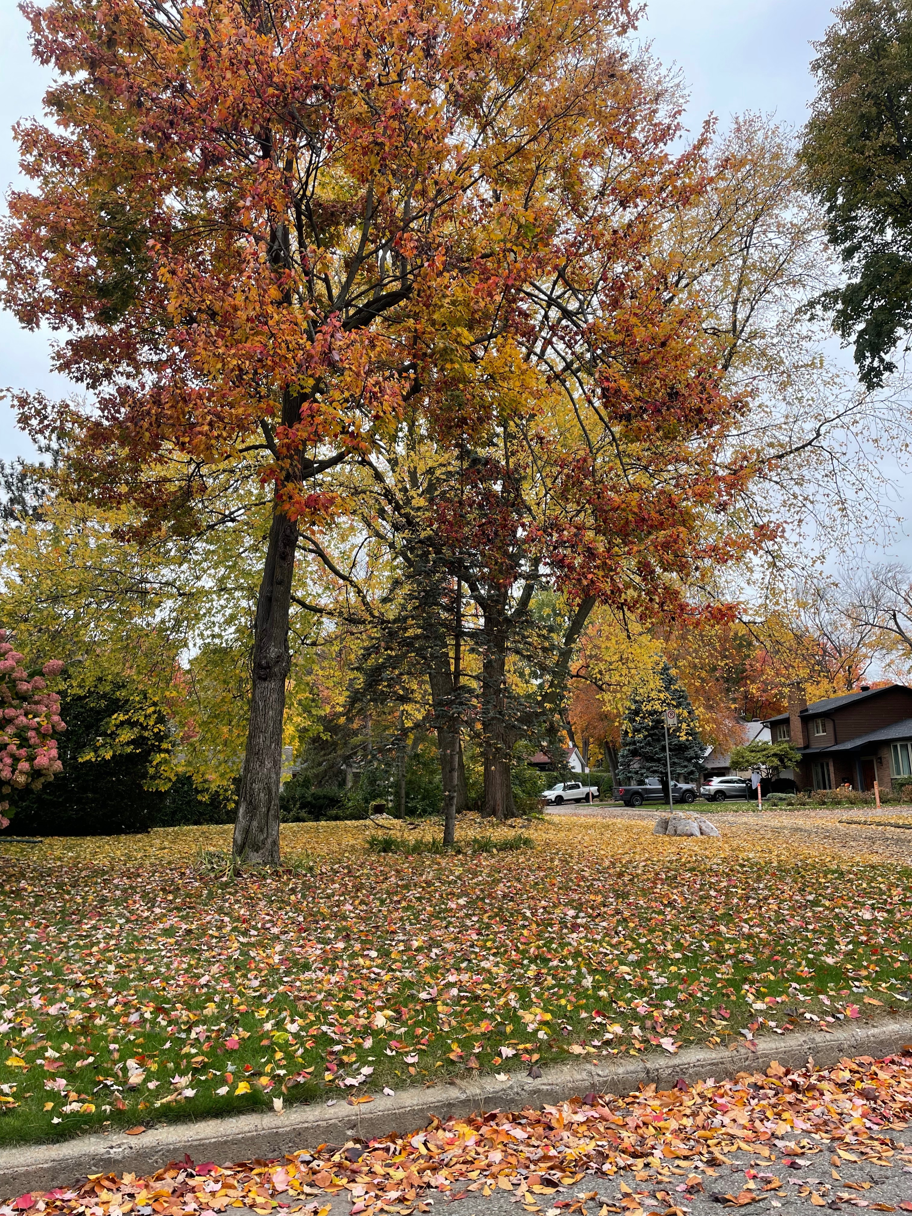 Big Booty Krystal😘 OnlyFans header