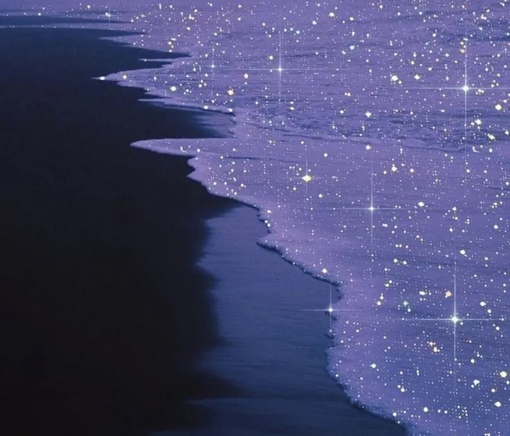 Chelle OnlyFans header