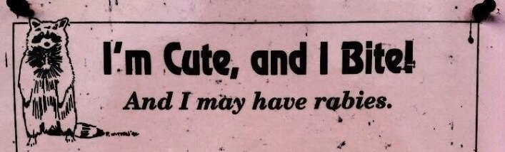 Lana Bee OnlyFans header