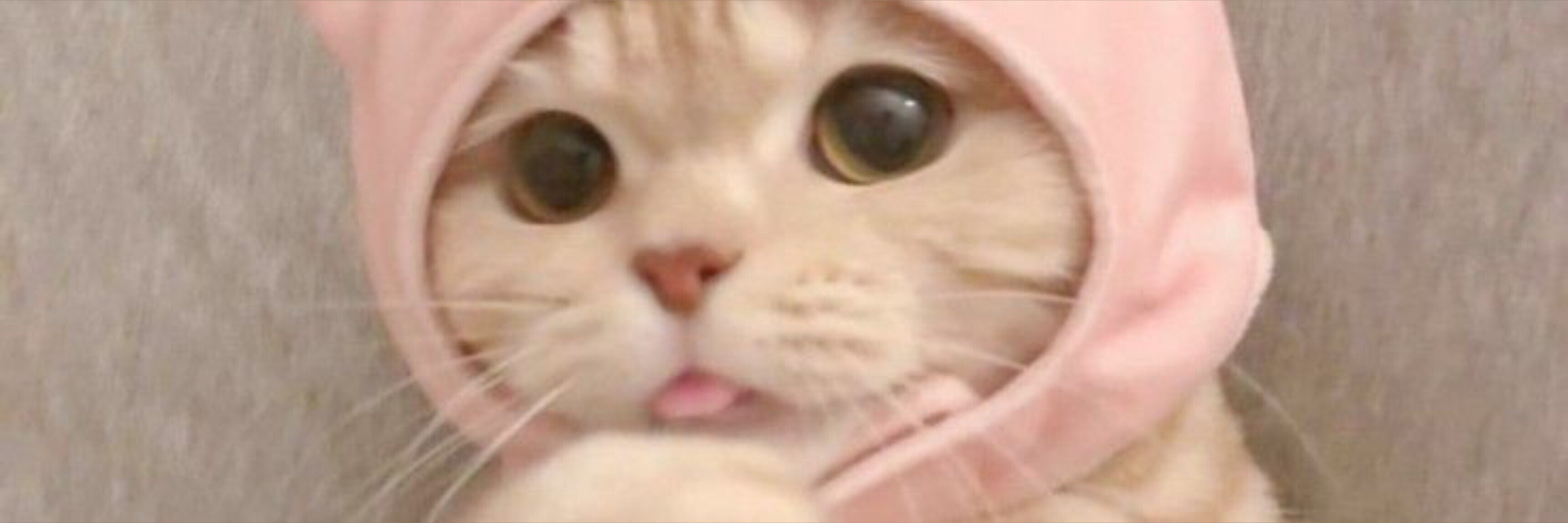 Lana🎀 OnlyFans header