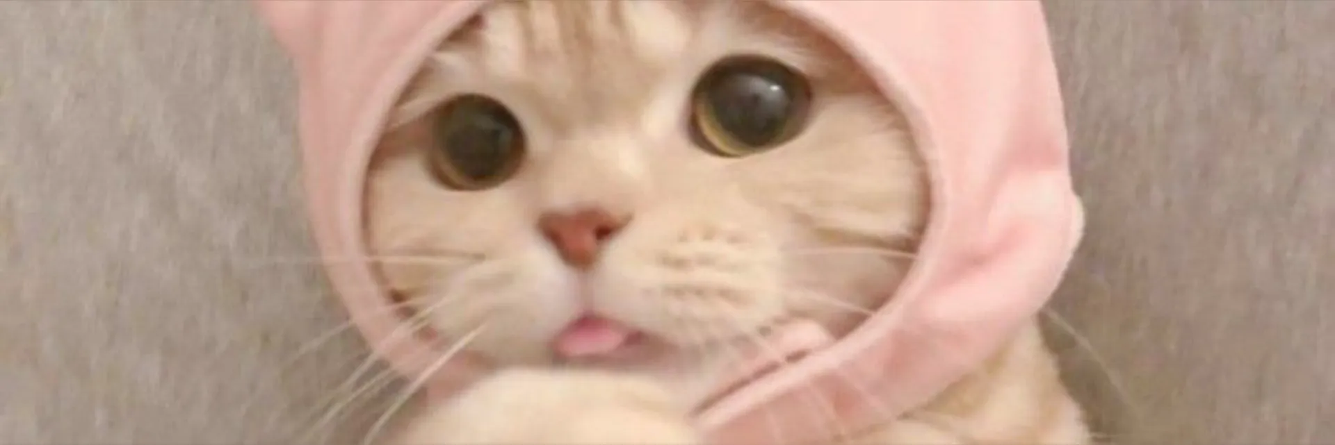 Lana🎀 OnlyFans header