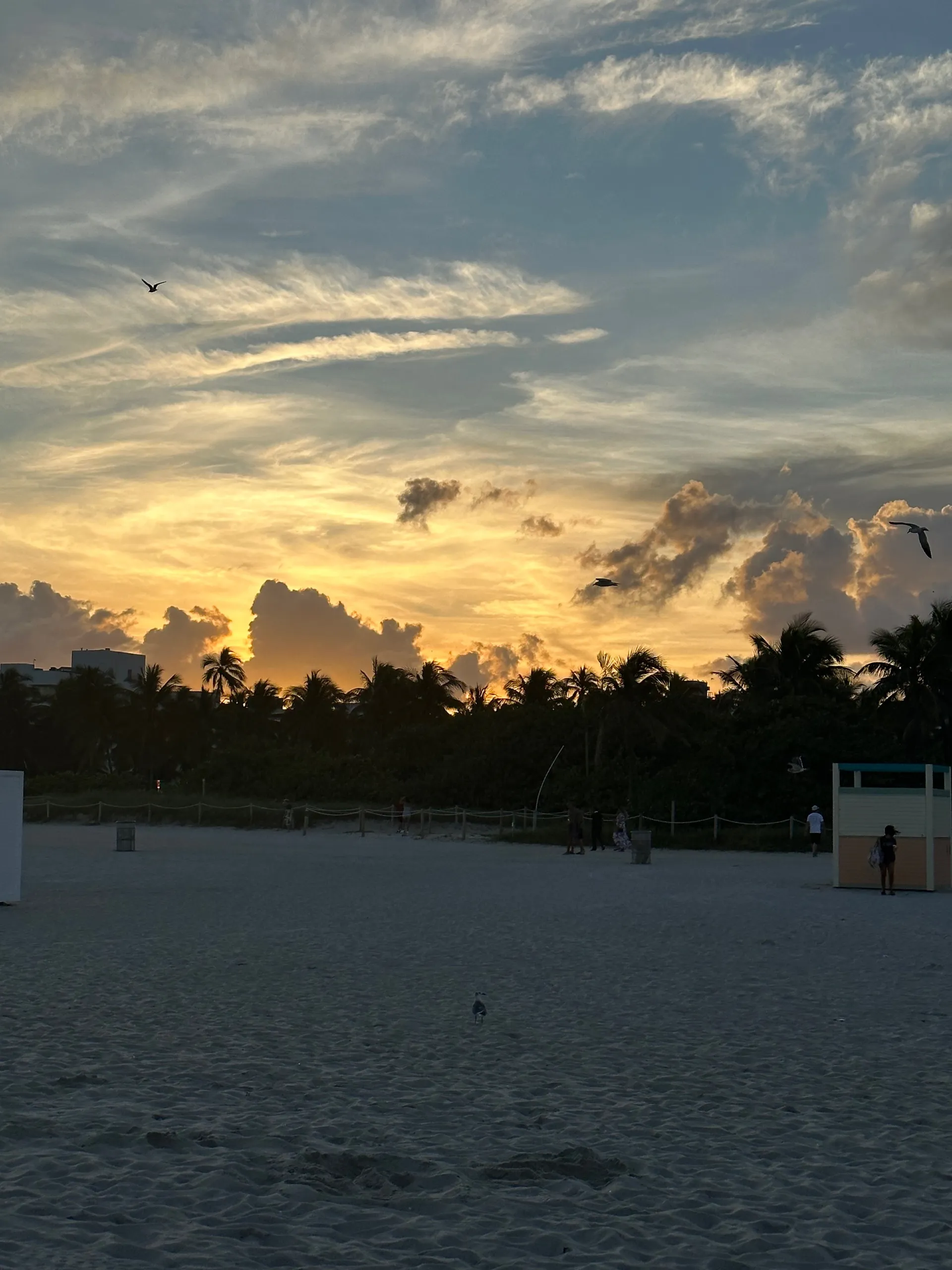 Lauren OnlyFans header