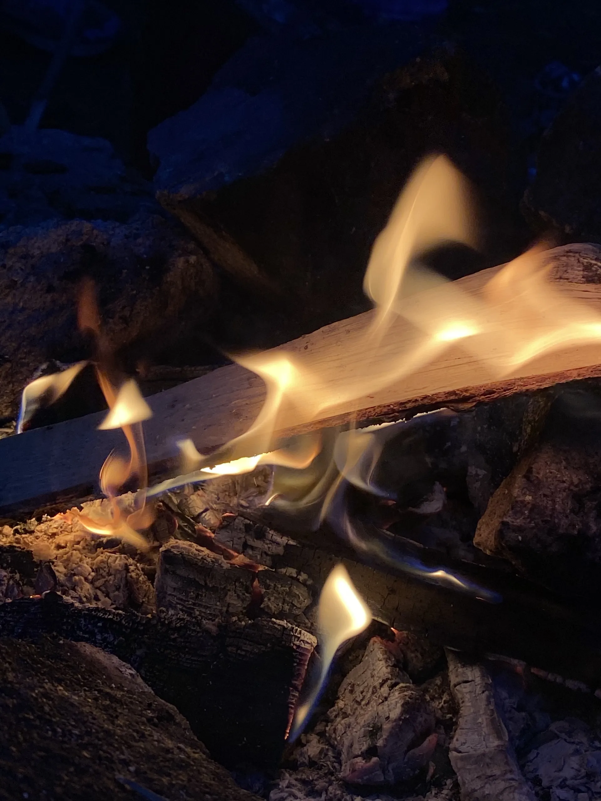 lavender OnlyFans header