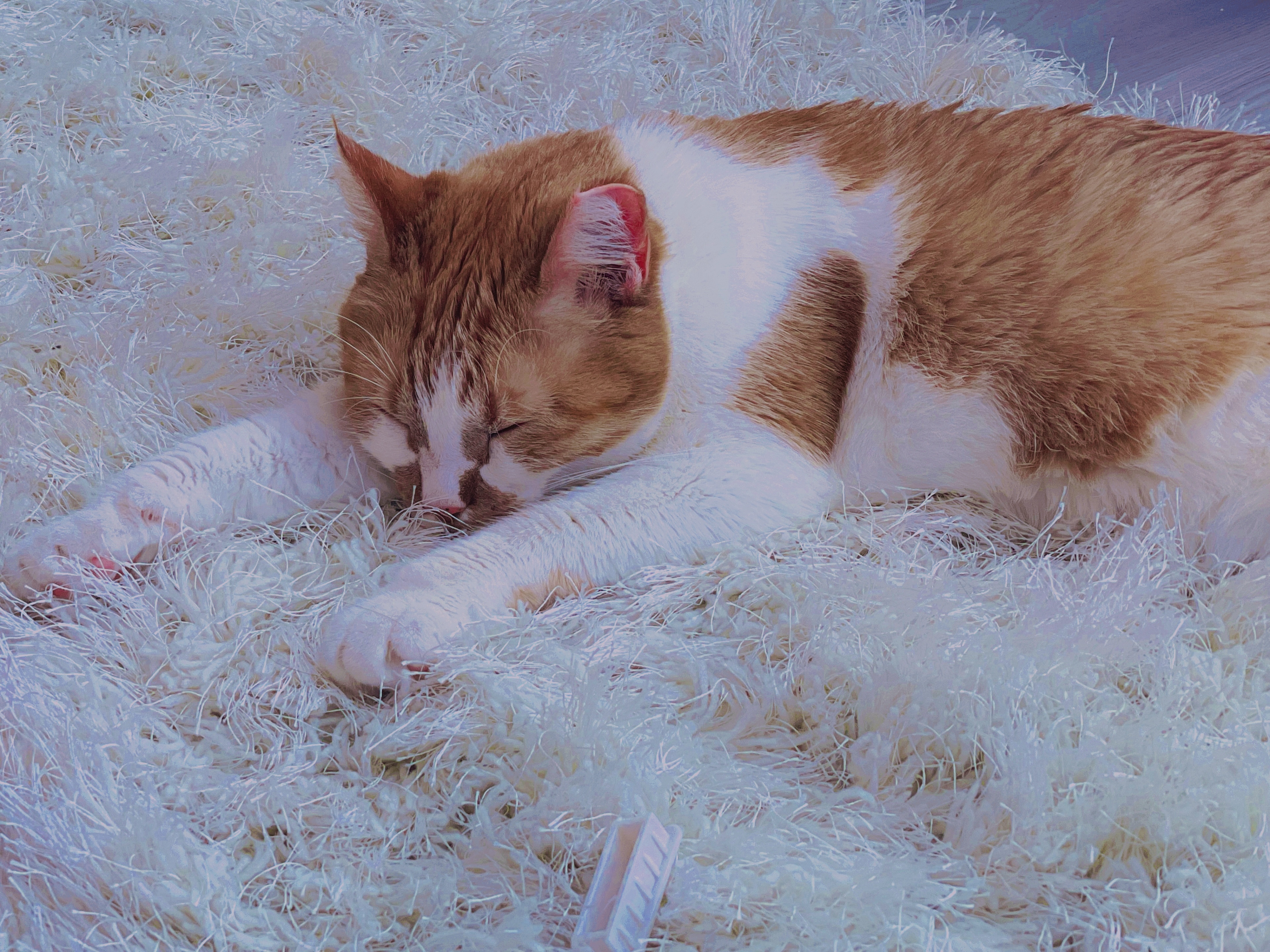 Leana Lovings ♡ OnlyFans header