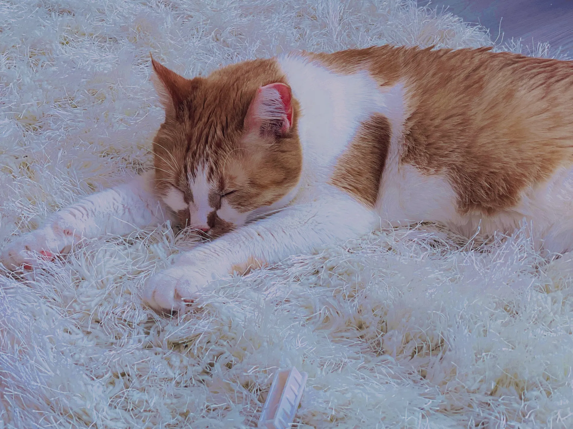 Leana Lovings ♡ OnlyFans header