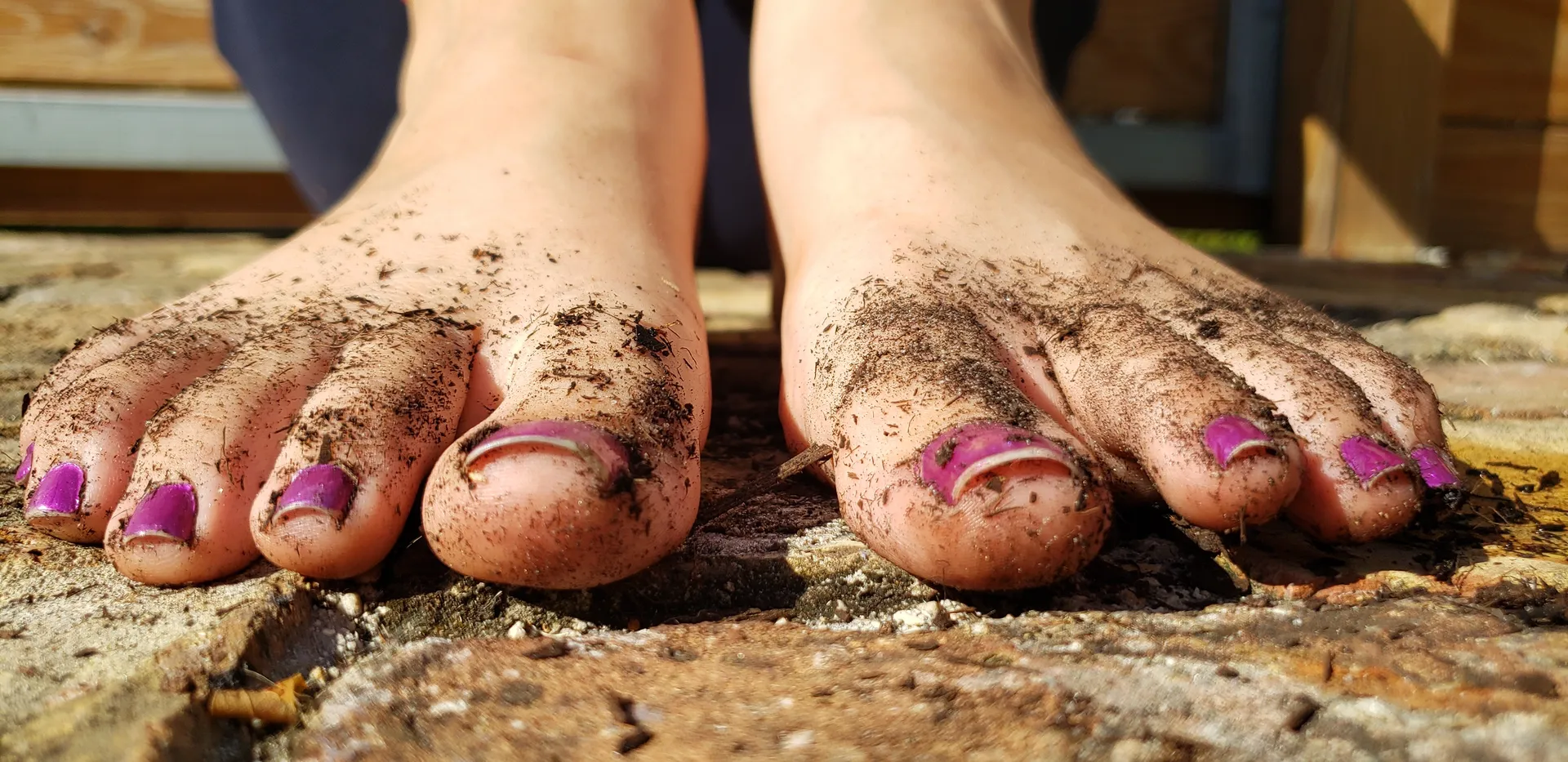 Eleni OnlyFans header