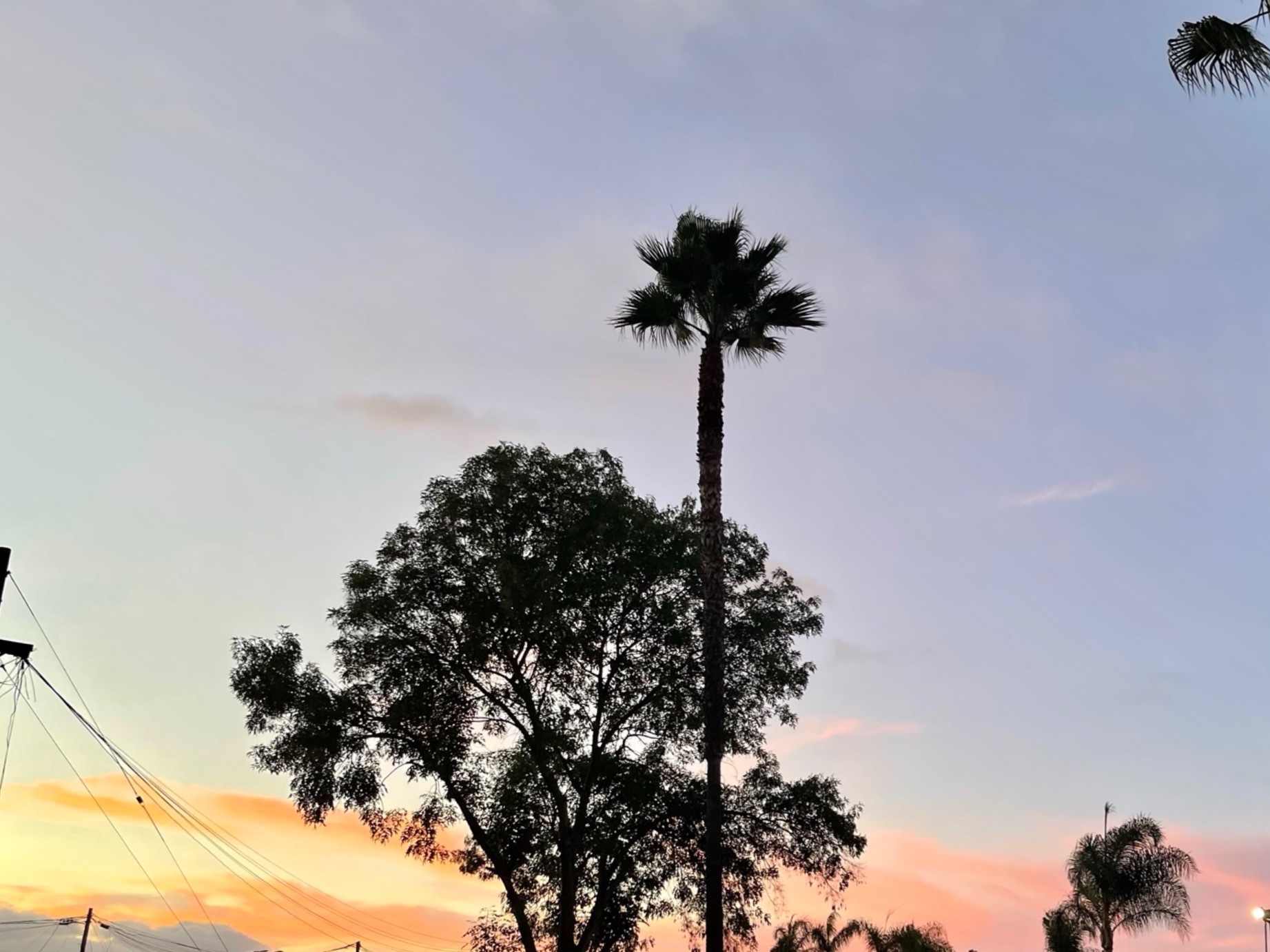 Lillyrae💕 OnlyFans header