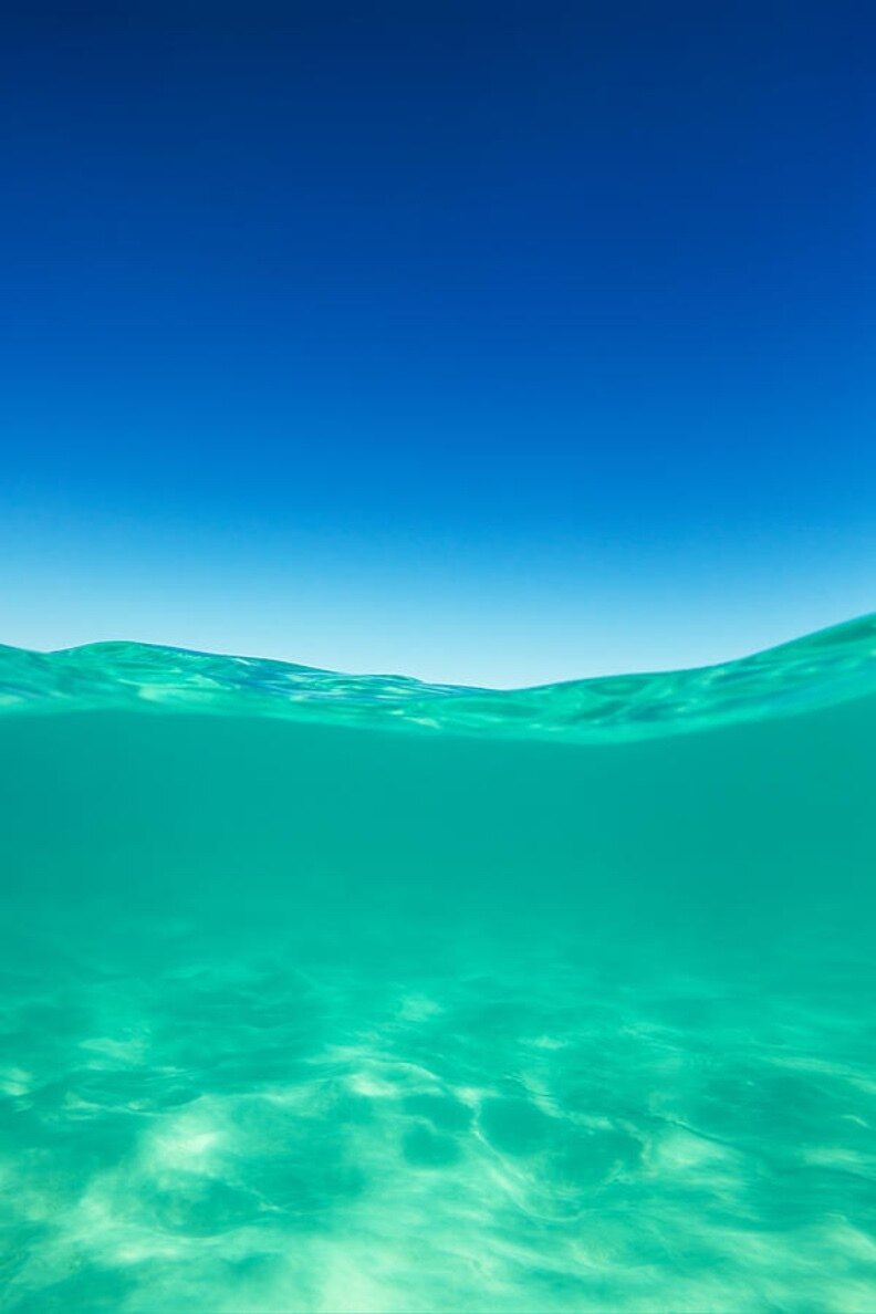 ᗷᗩ𝗂🫧🐠 OnlyFans header