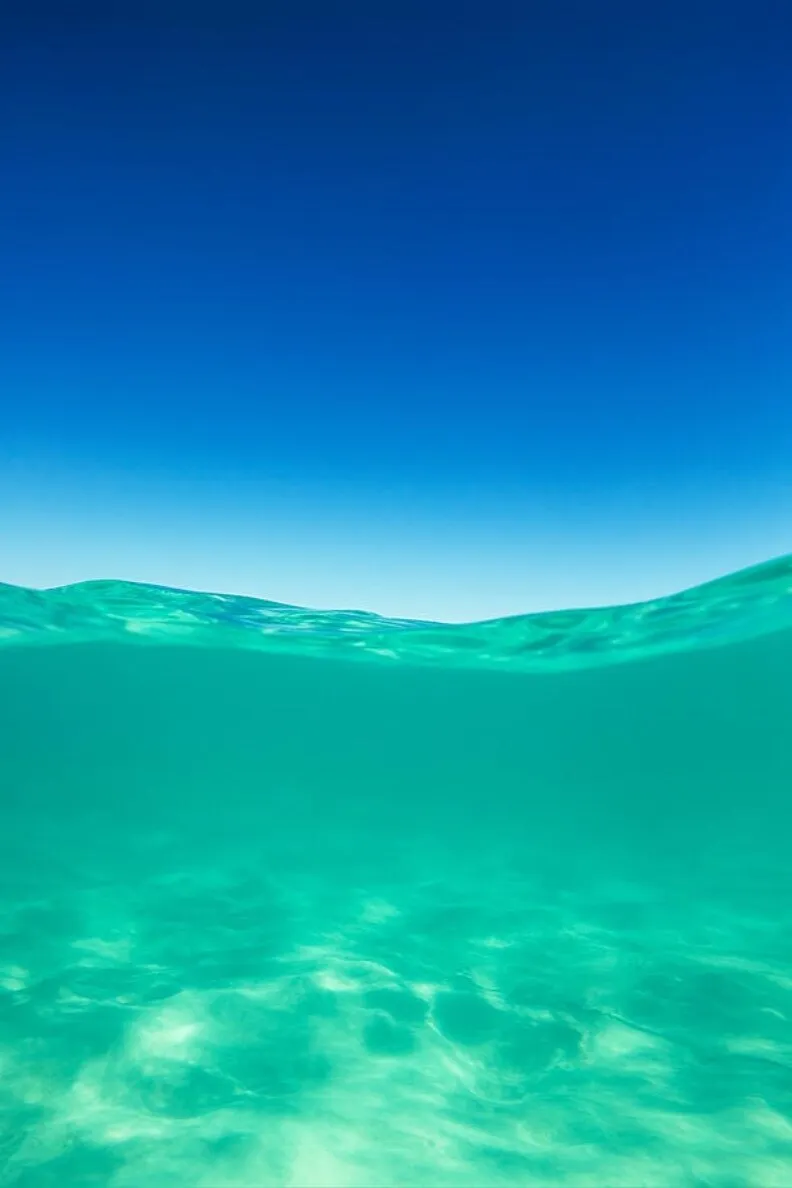 ᗷᗩ𝗂🫧🐠 OnlyFans header