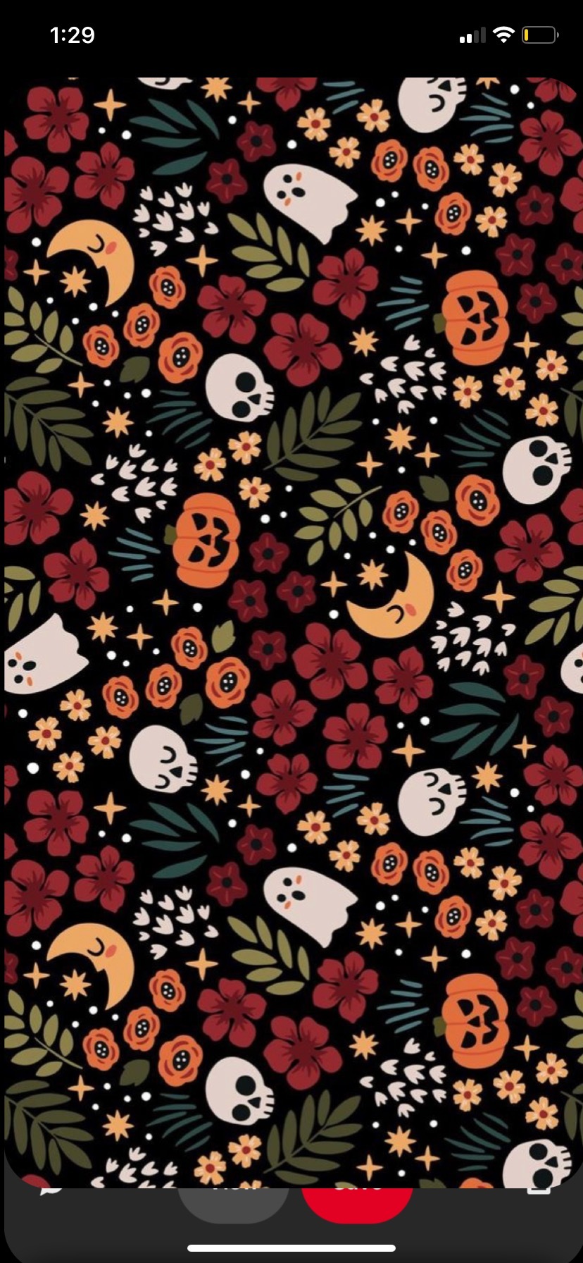 Lilwanpnw OnlyFans header