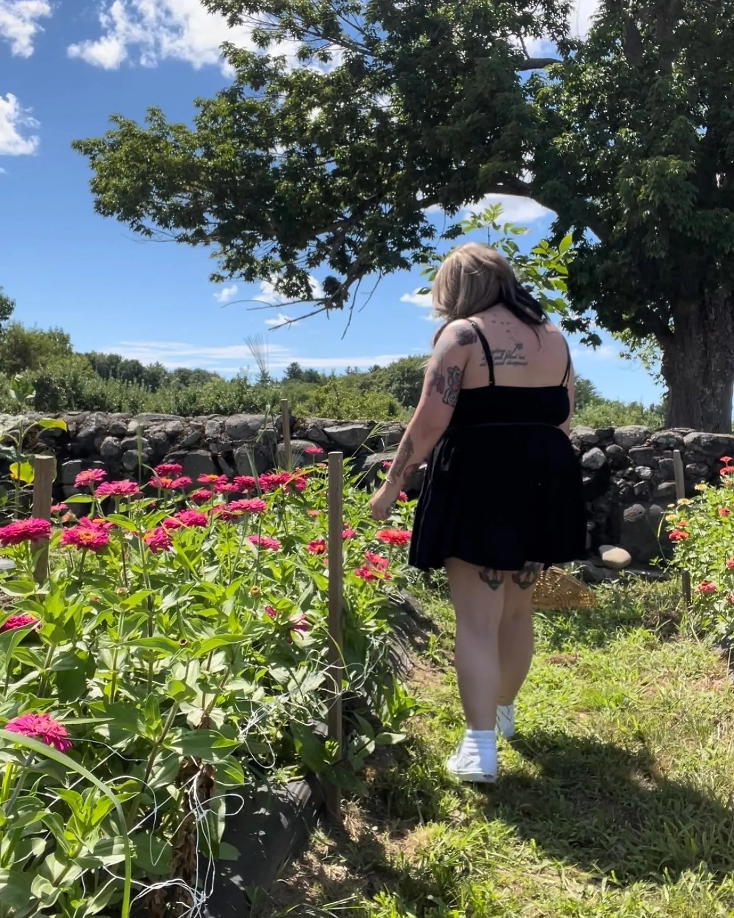 Lj OnlyFans header