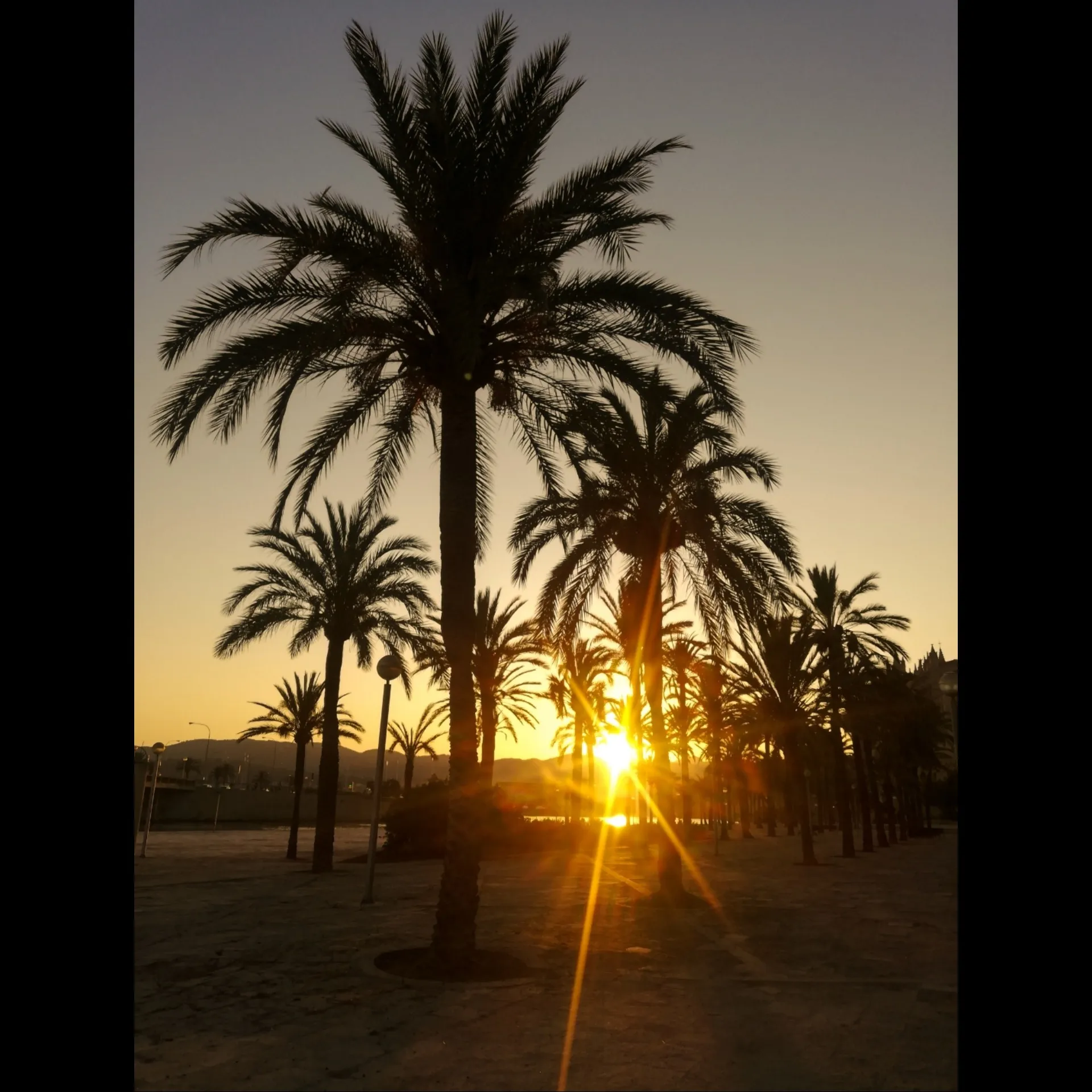 LittleVi OnlyFans header