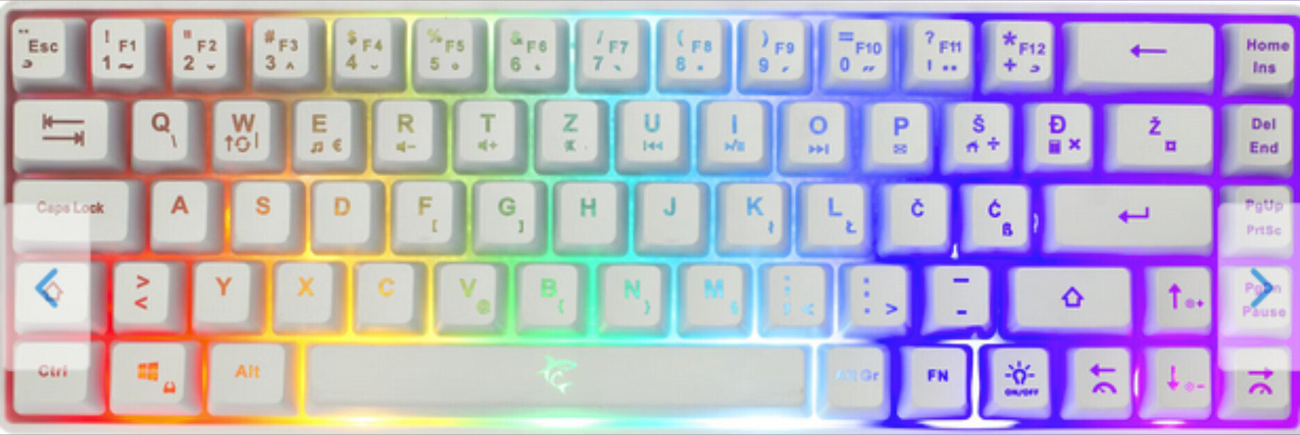 ✨ Moderator ✨ OnlyFans header