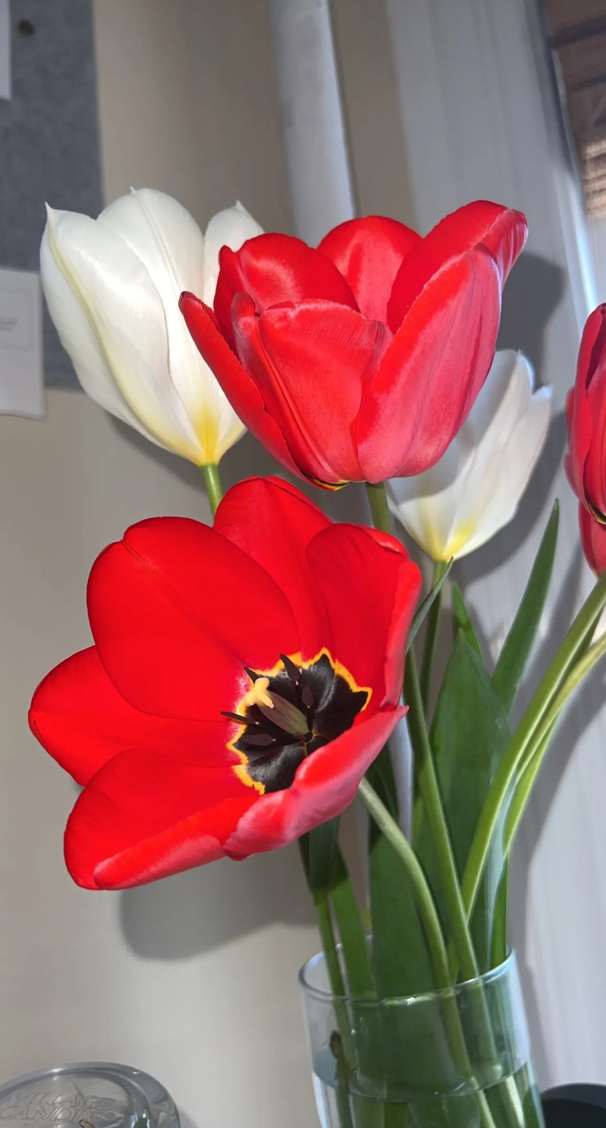 Kendall OnlyFans header