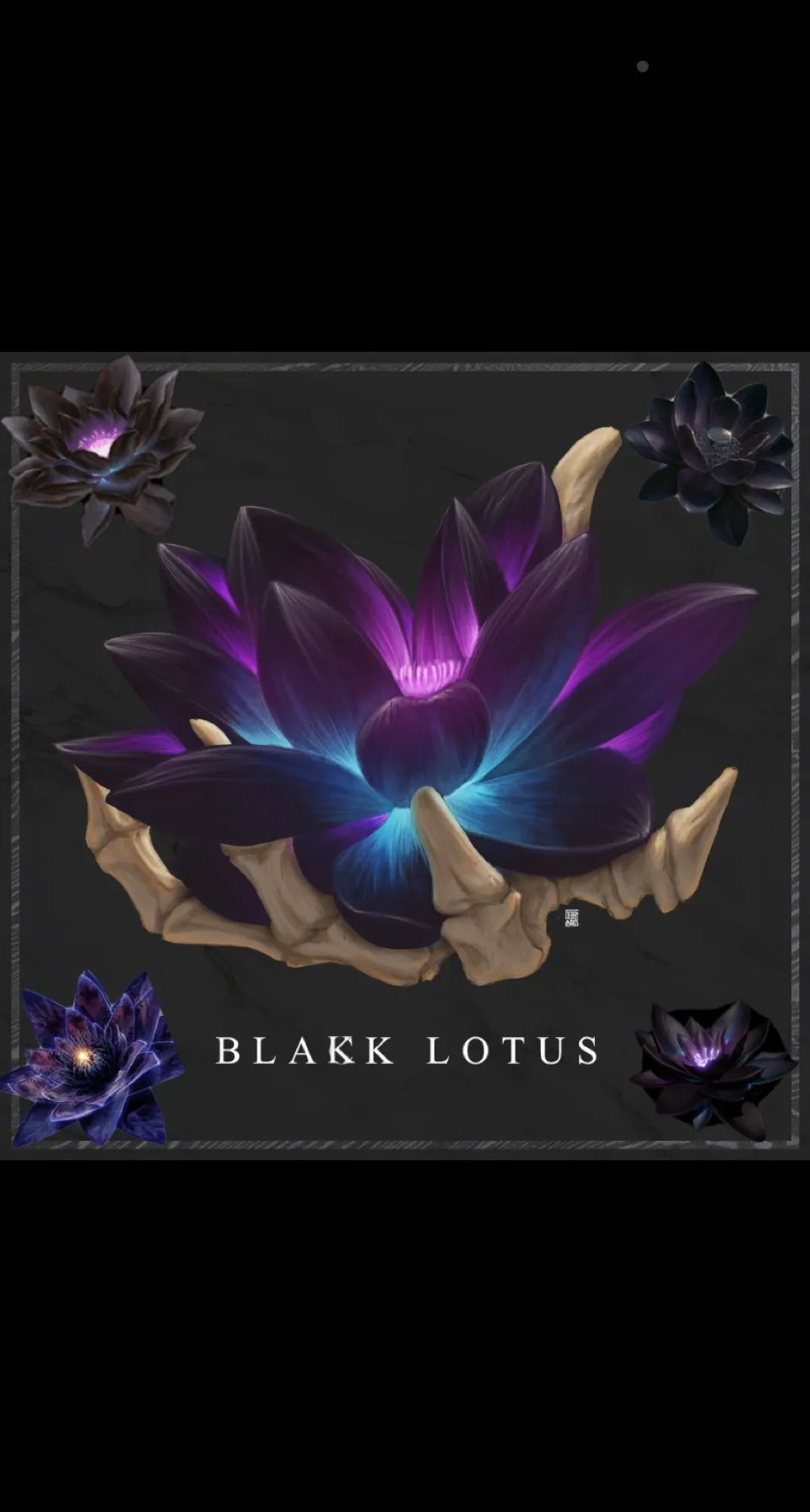 Blakk Lotus OnlyFans profile picture