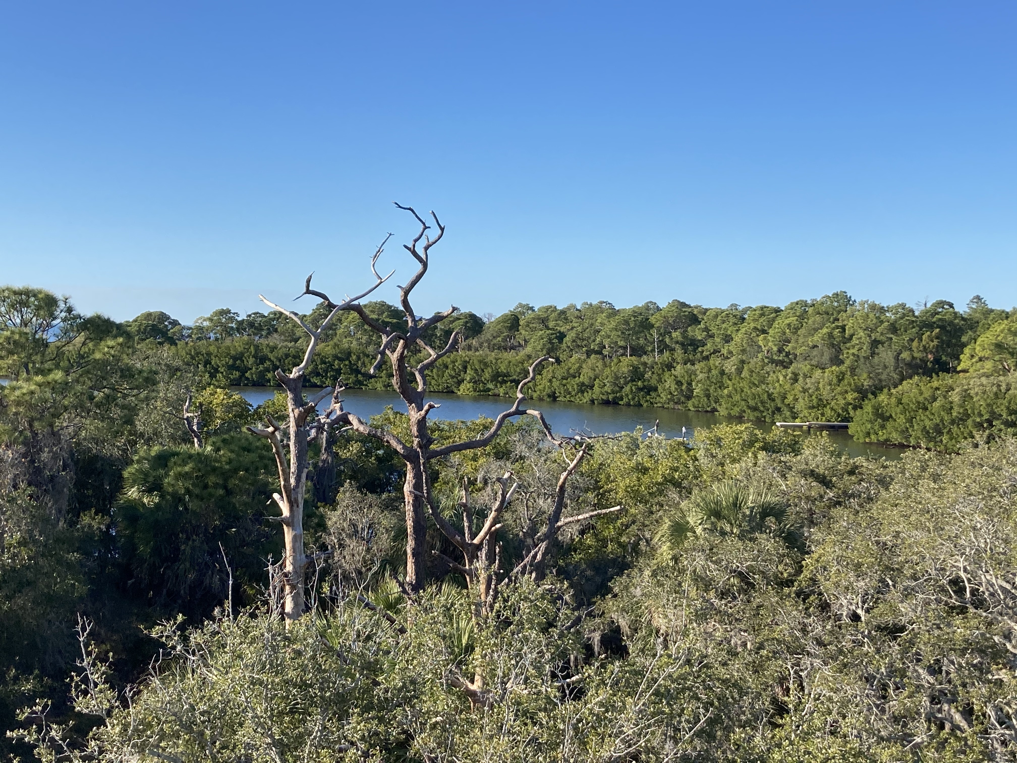 Nicole ❤️‍🔥 OnlyFans header