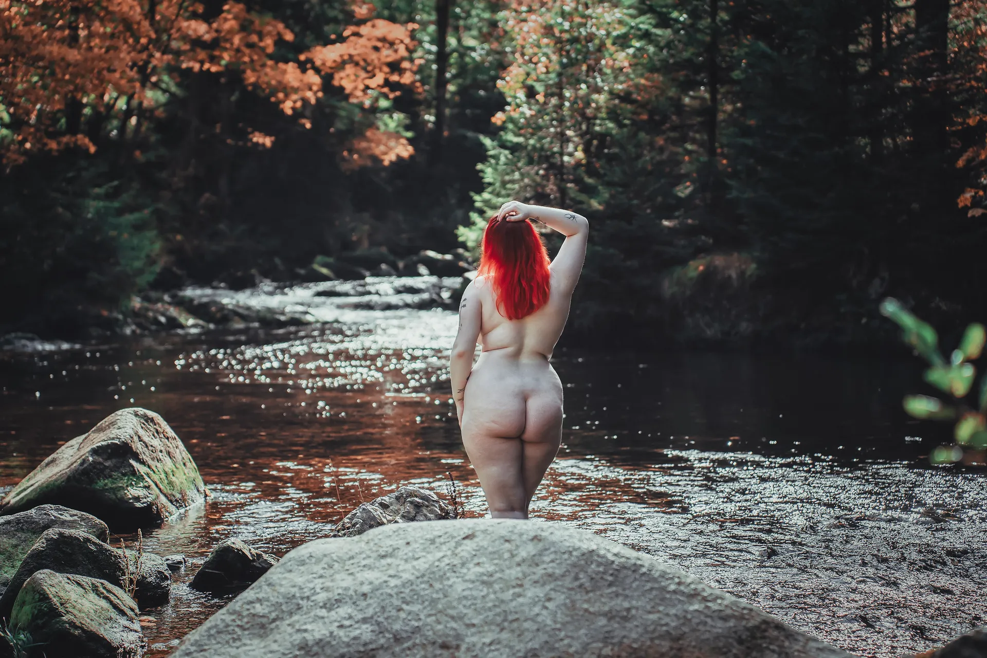 Firebird OnlyFans header